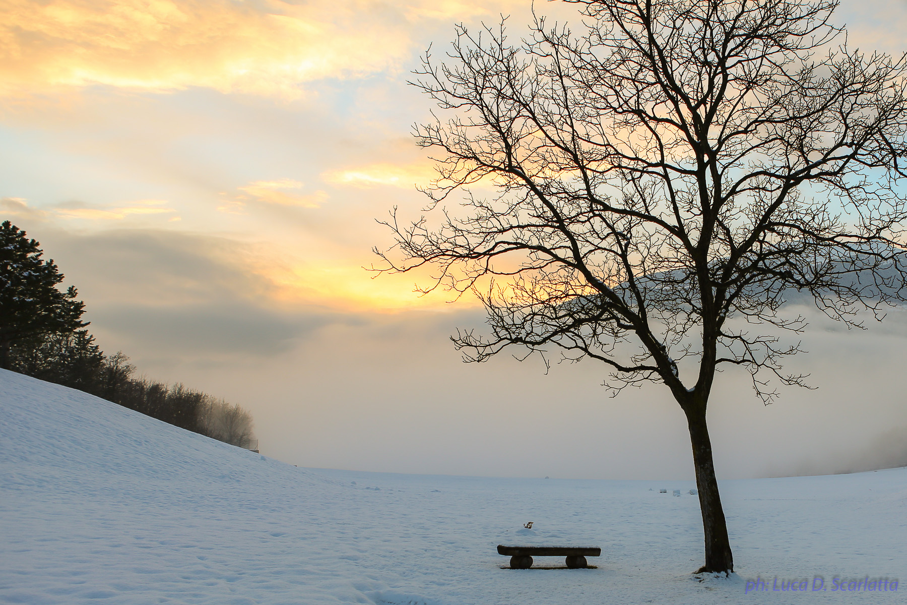 A place to reflect and cool ideas