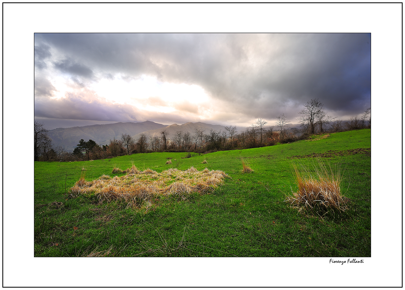 ...Stranezze naturali..?