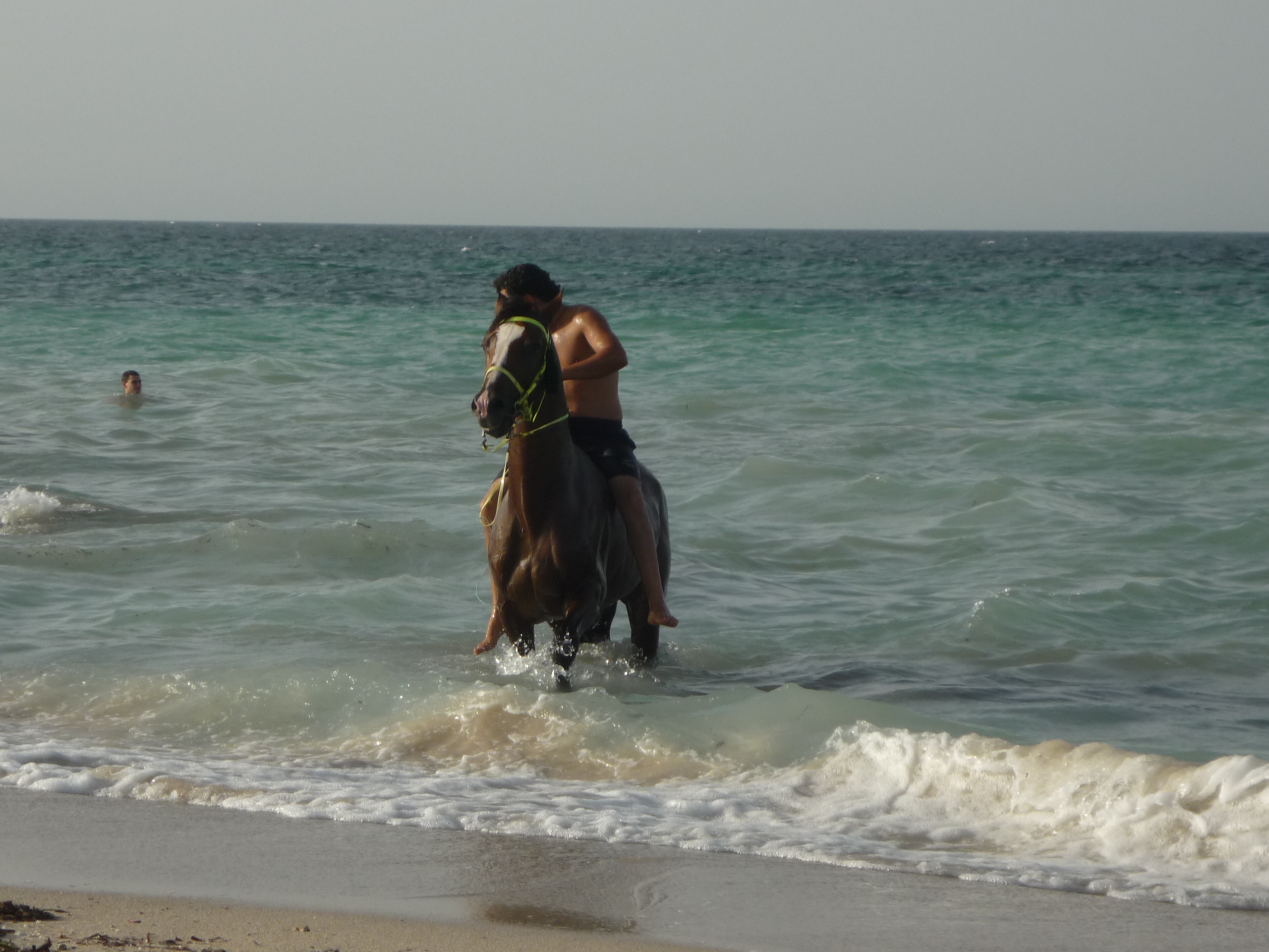 Cavallo che Esce dall'Acqua, Djerba