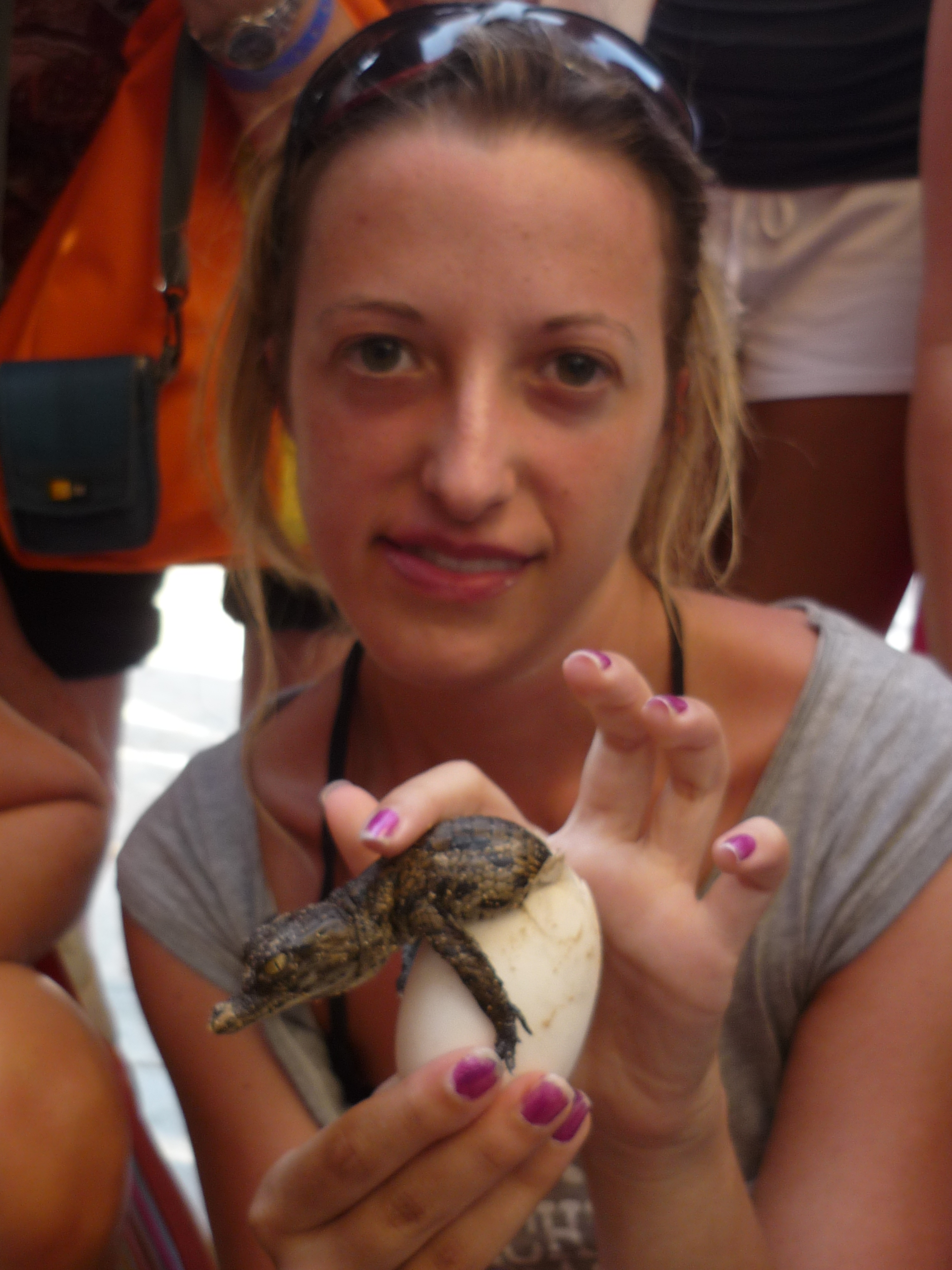 Io che Accarezzo un Coccodrillo Appena Nato