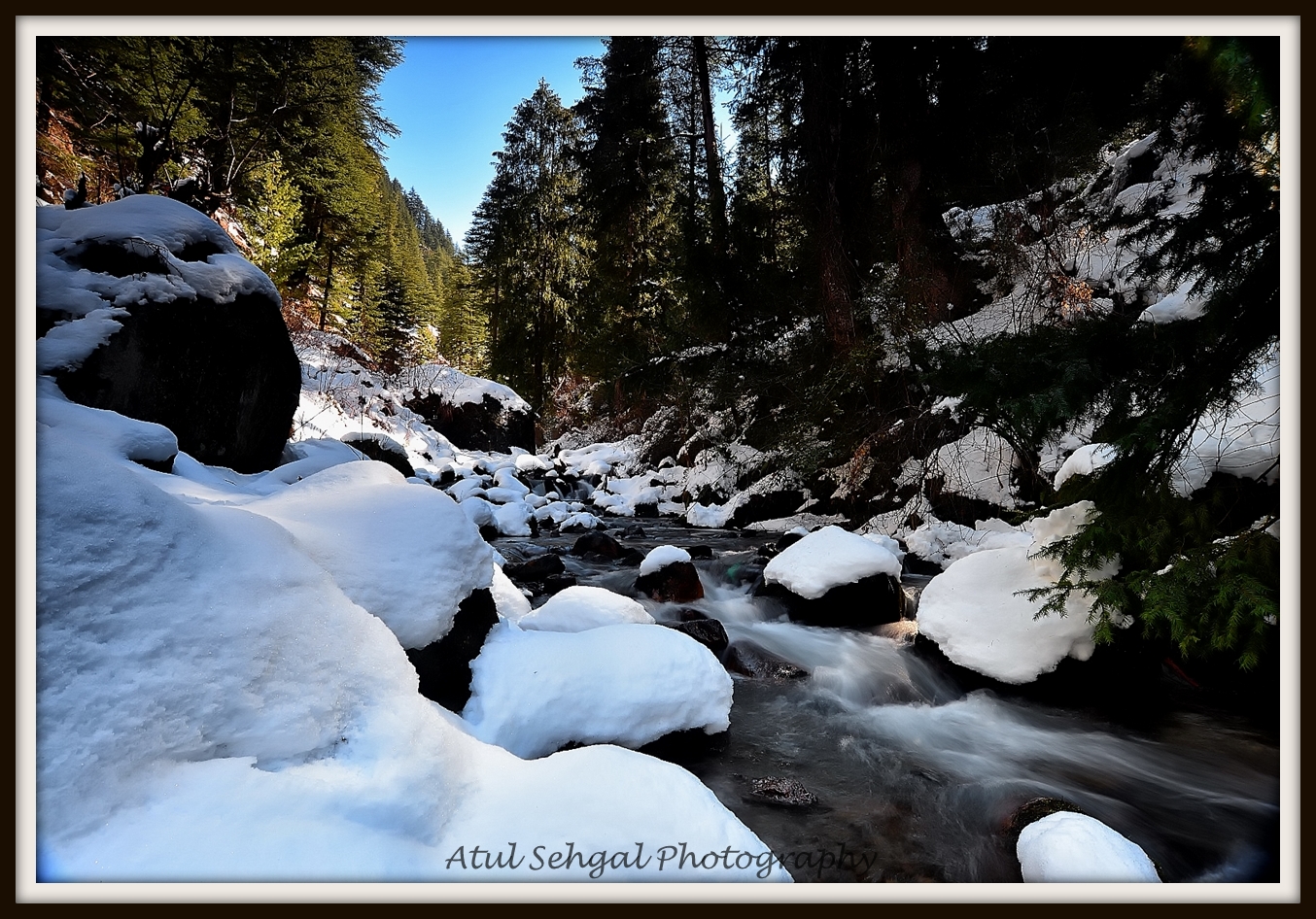 Somewhere Deep in the Himalayan Jungle