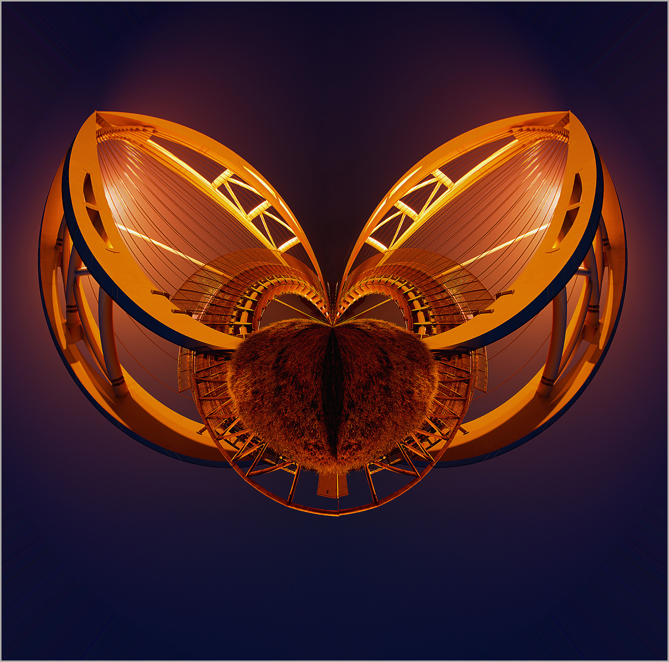 A bridge in the shape of fly