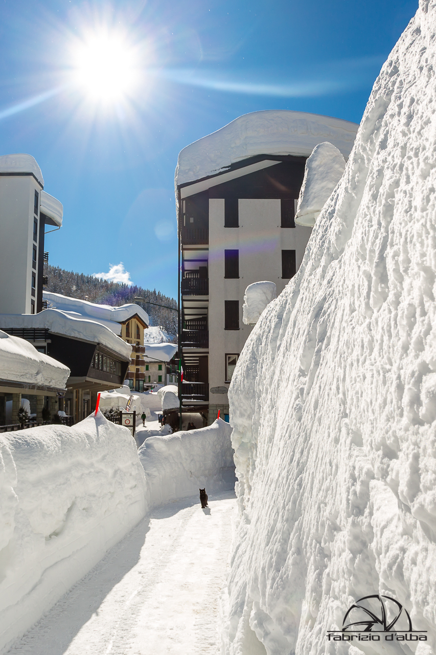 Sole, neve... e il gatto?!?