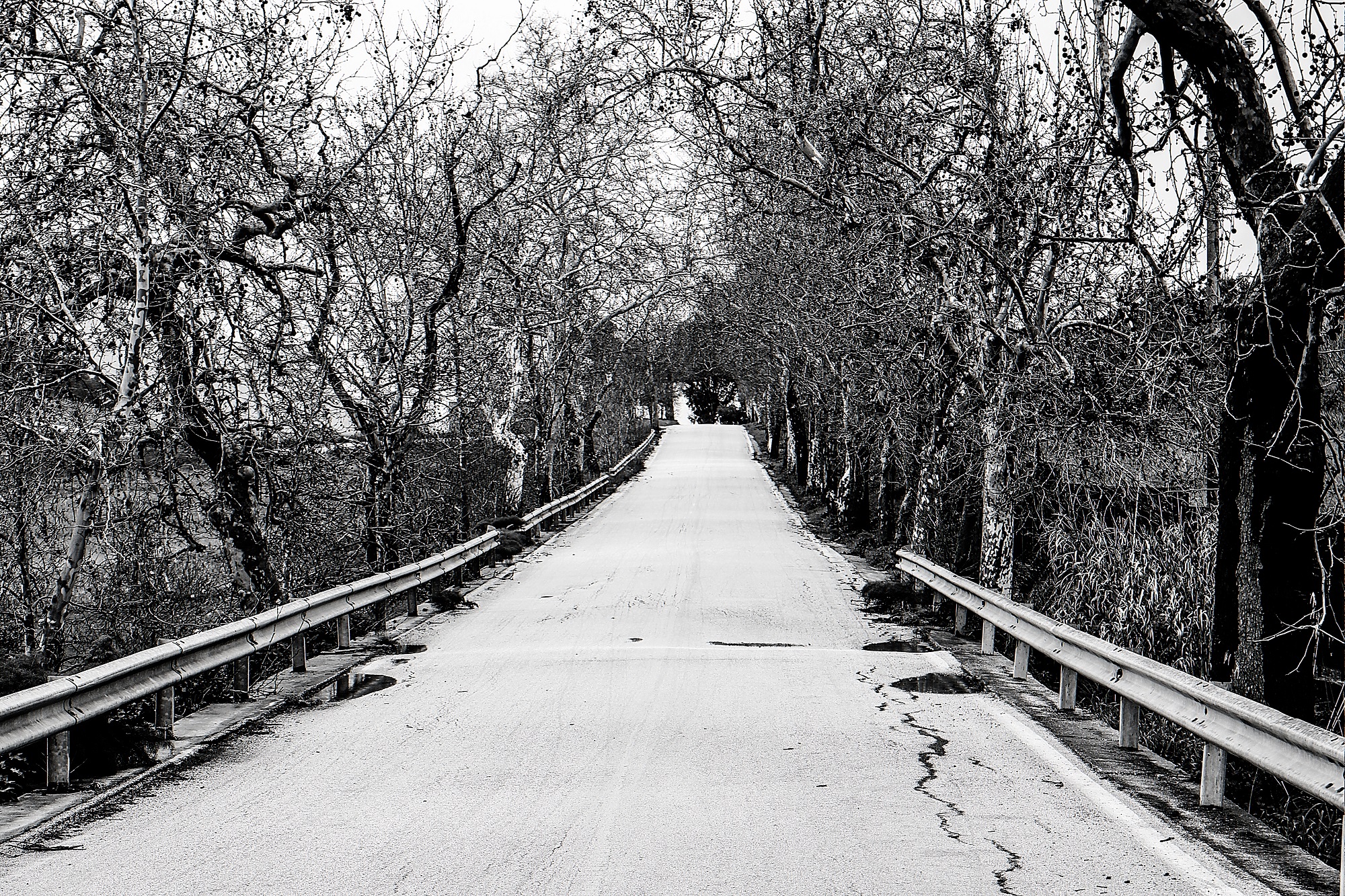 For road-Segesta Trapani