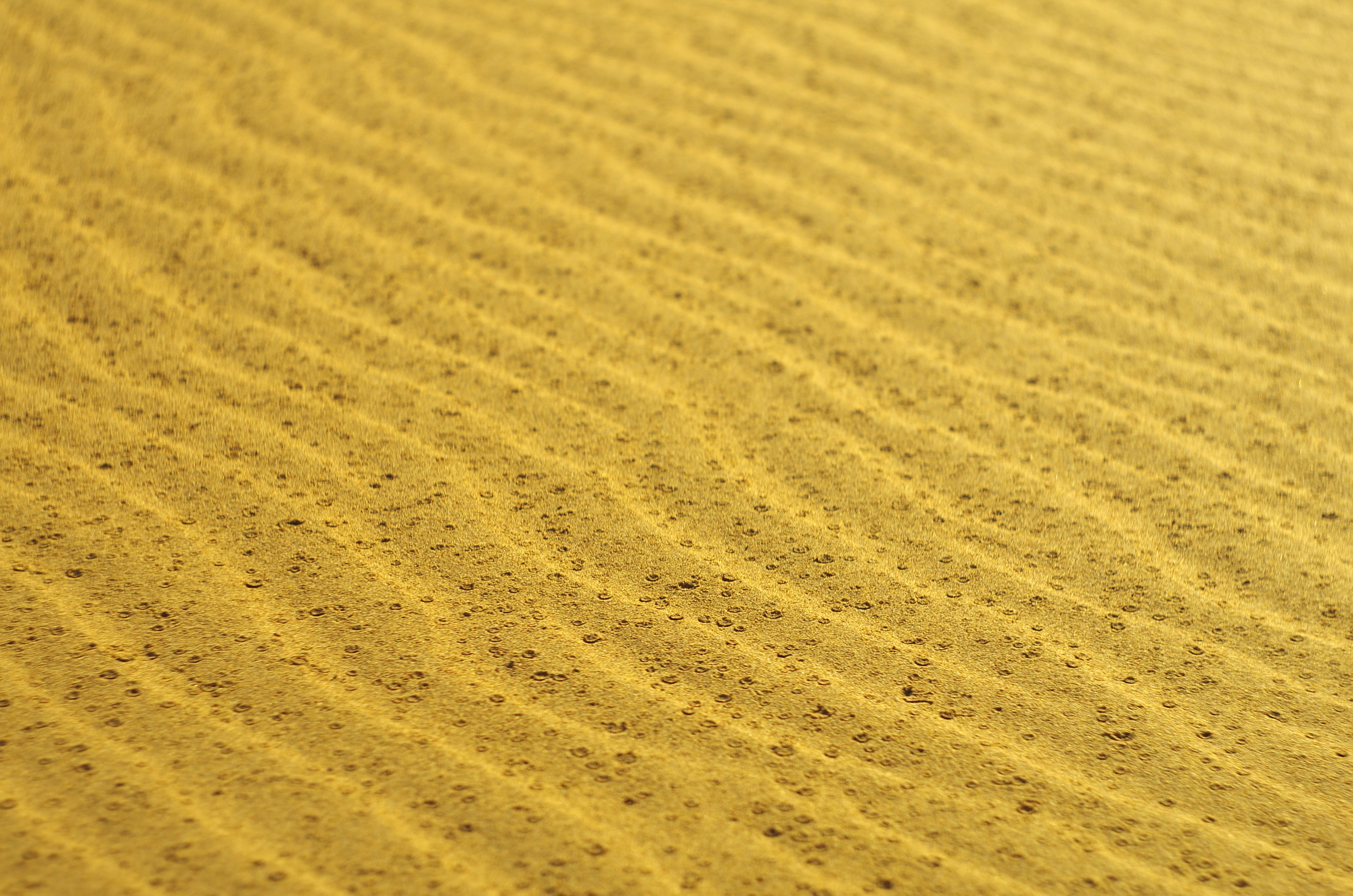 Tracce di pioggia nel Sahara