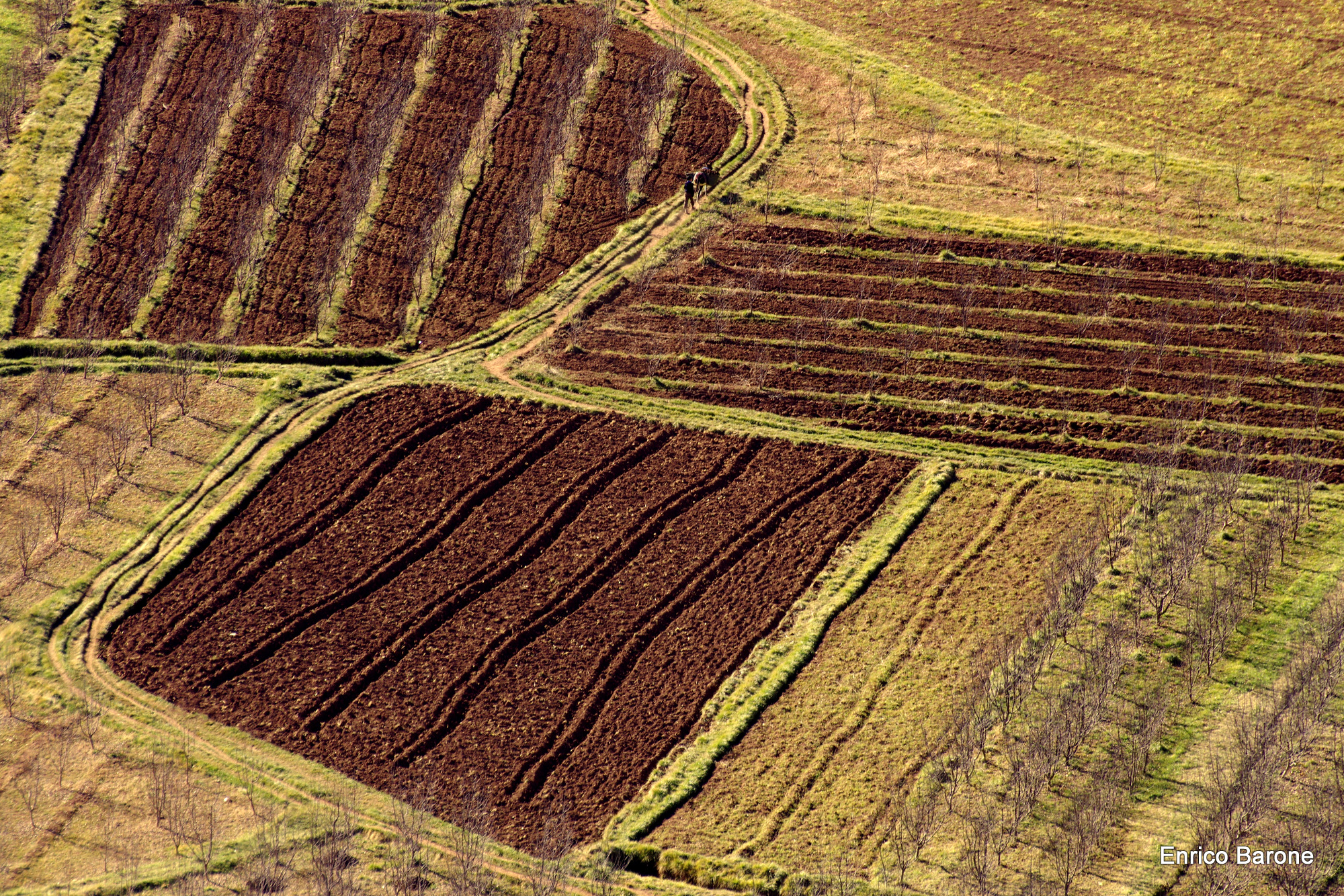 Campi nella valle di Ait Bougmez