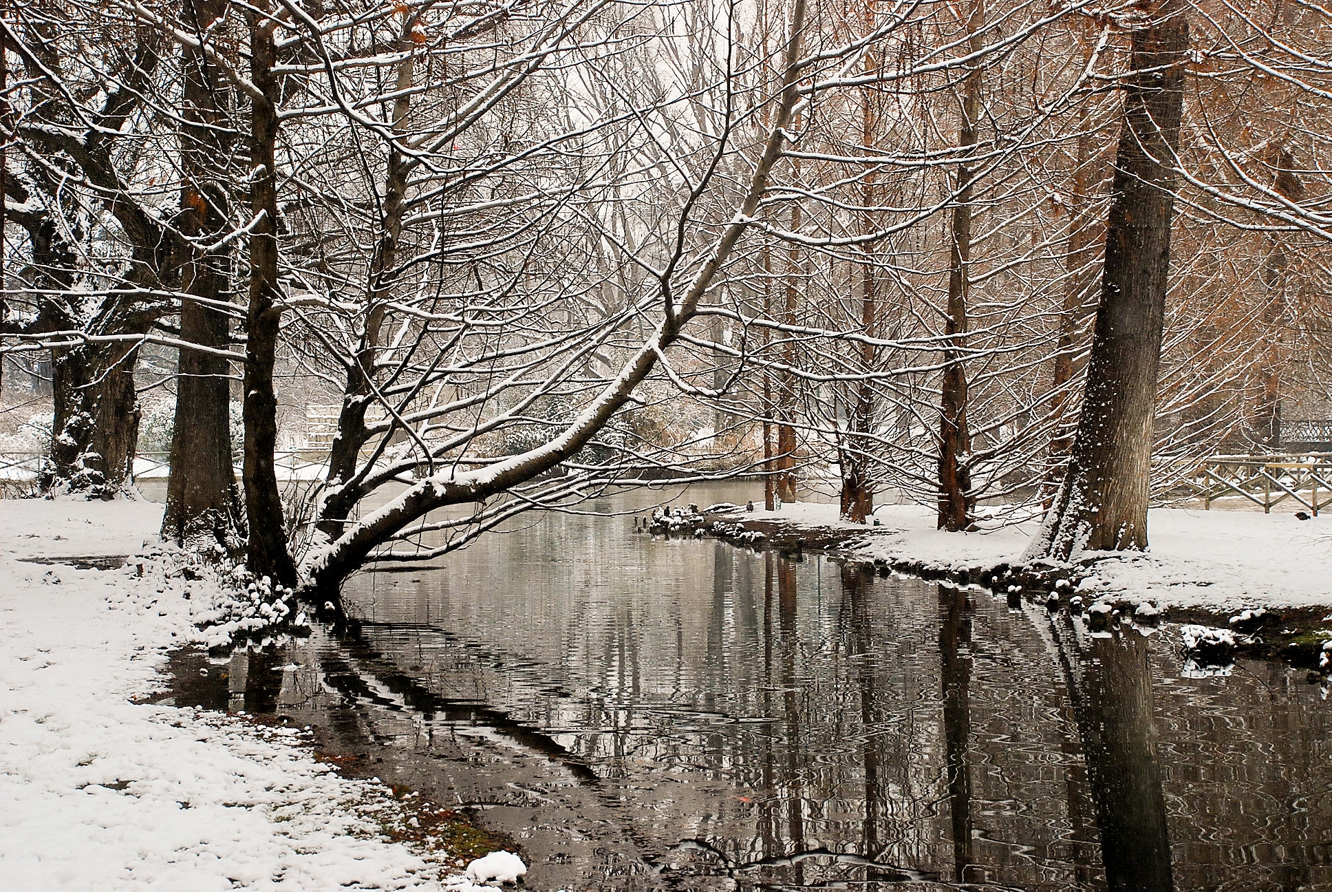 Castle Park in the Snow
