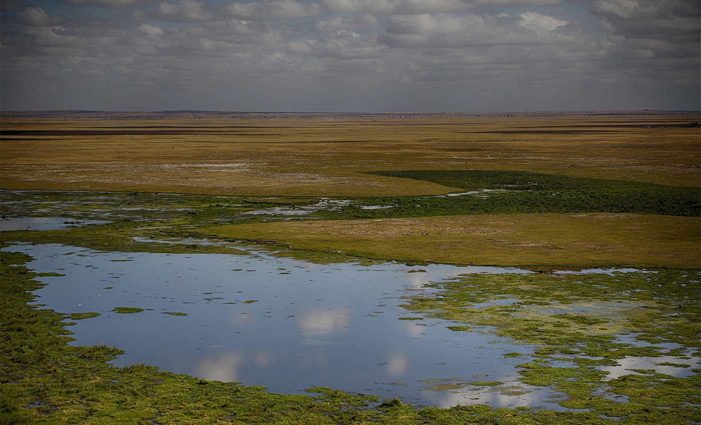 Amboseli