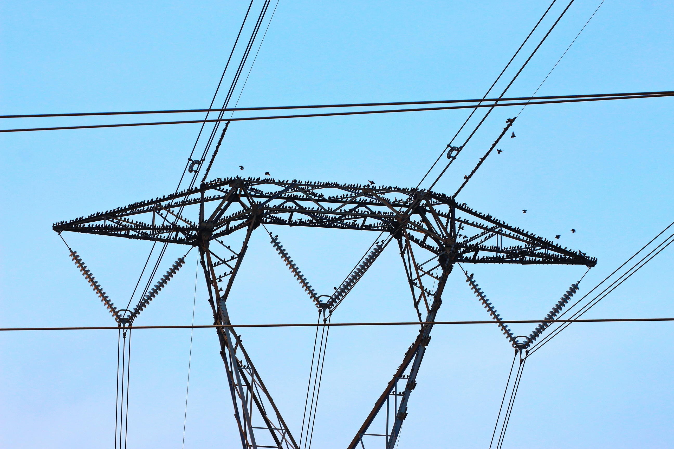 Riunione di condominio