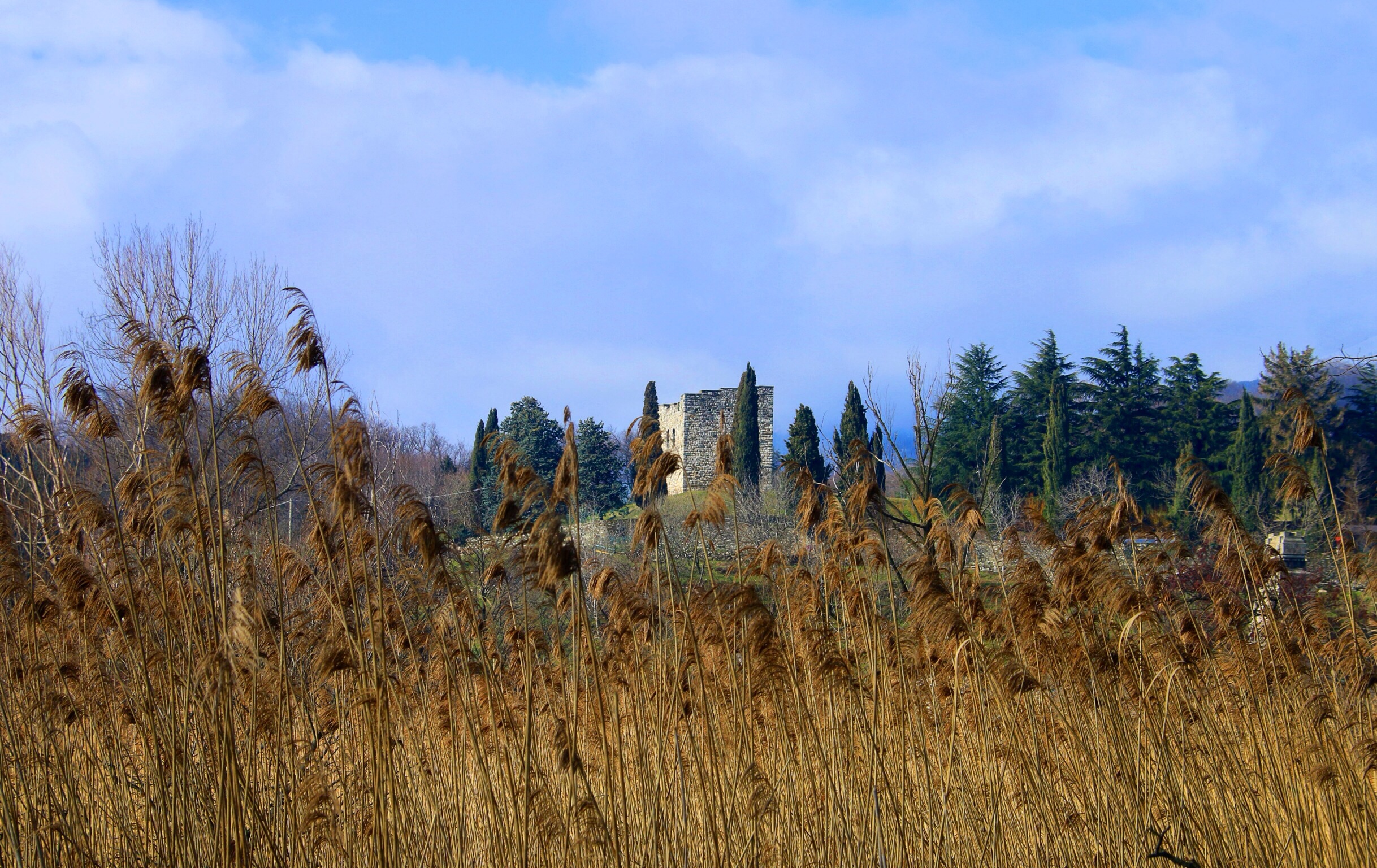 Dal lago del Segrino
