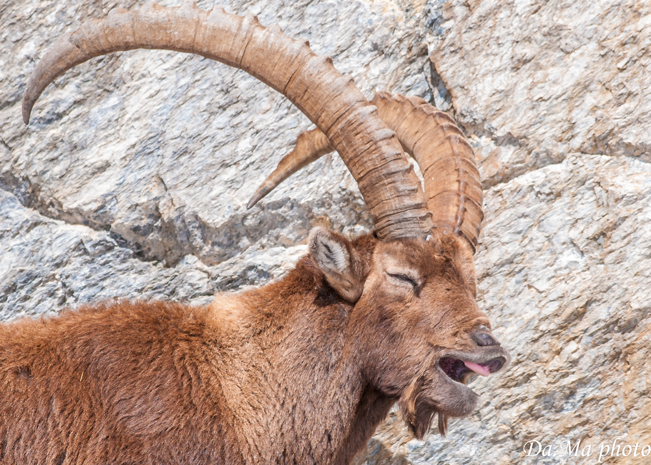 Sleep .... that ....