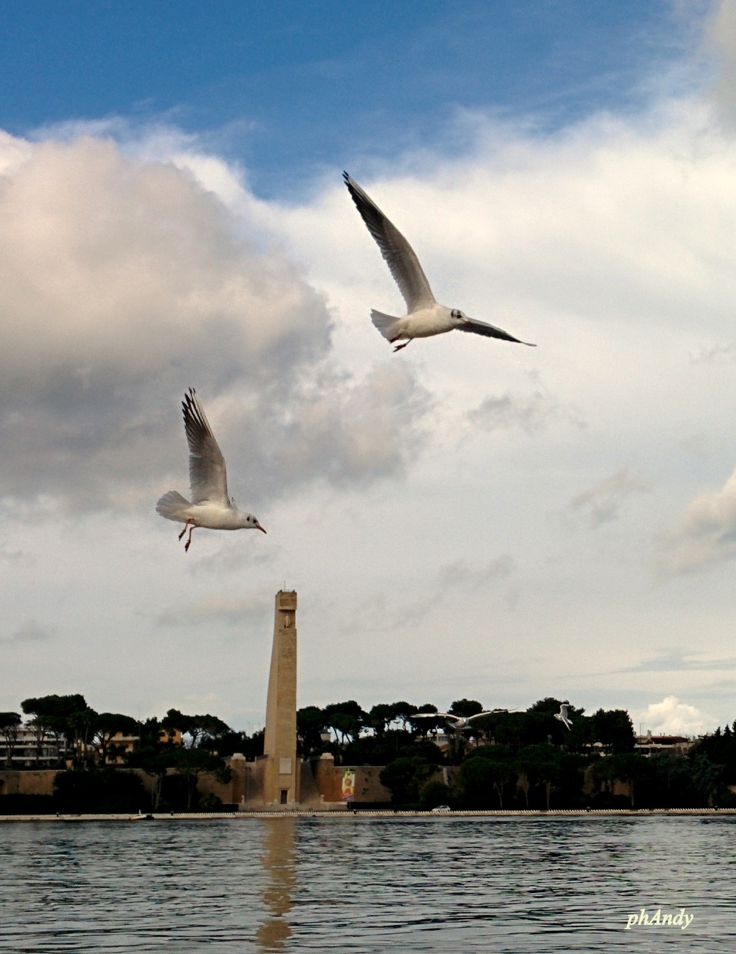 Gabbiani e monumento