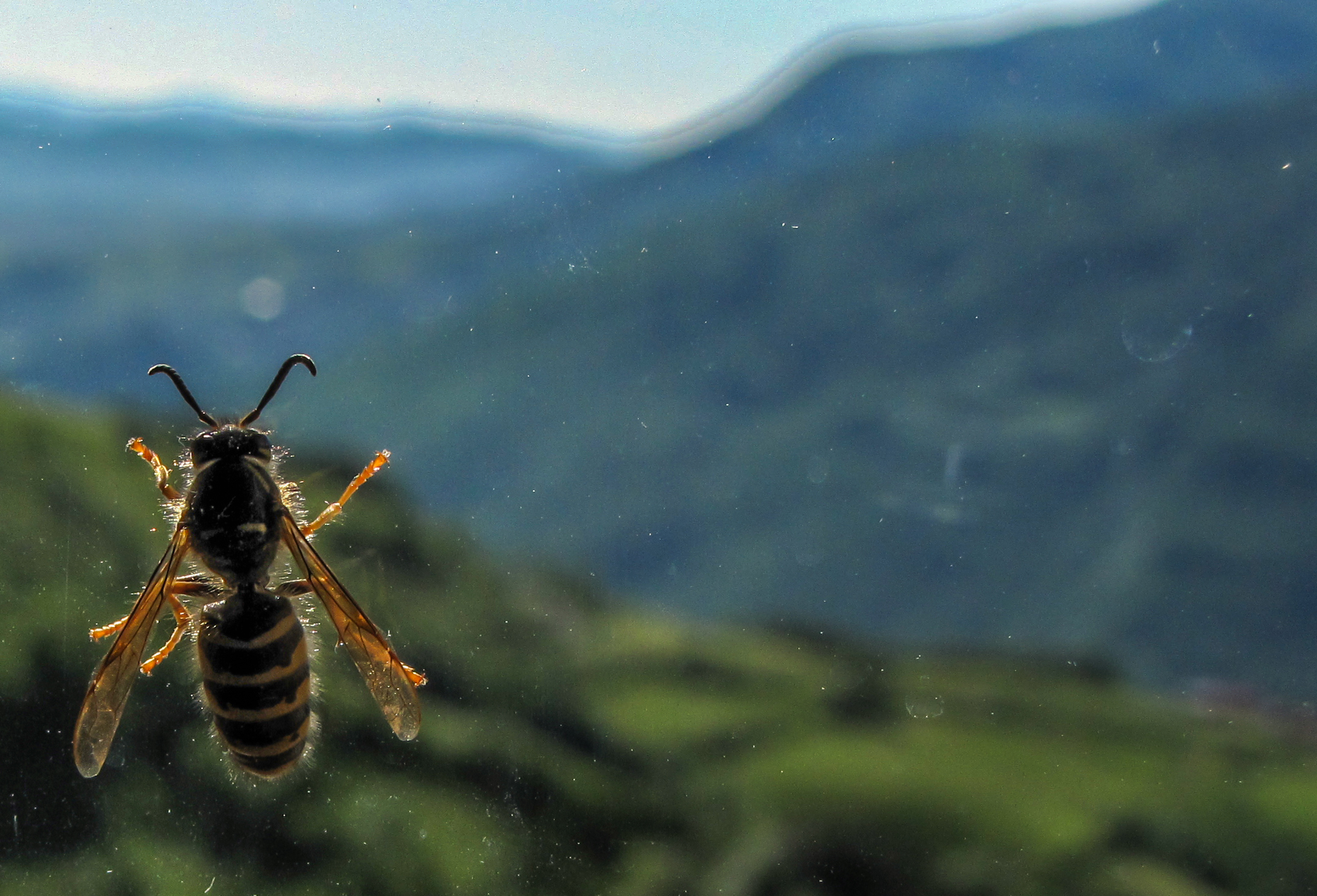 Forcefield unknown .....