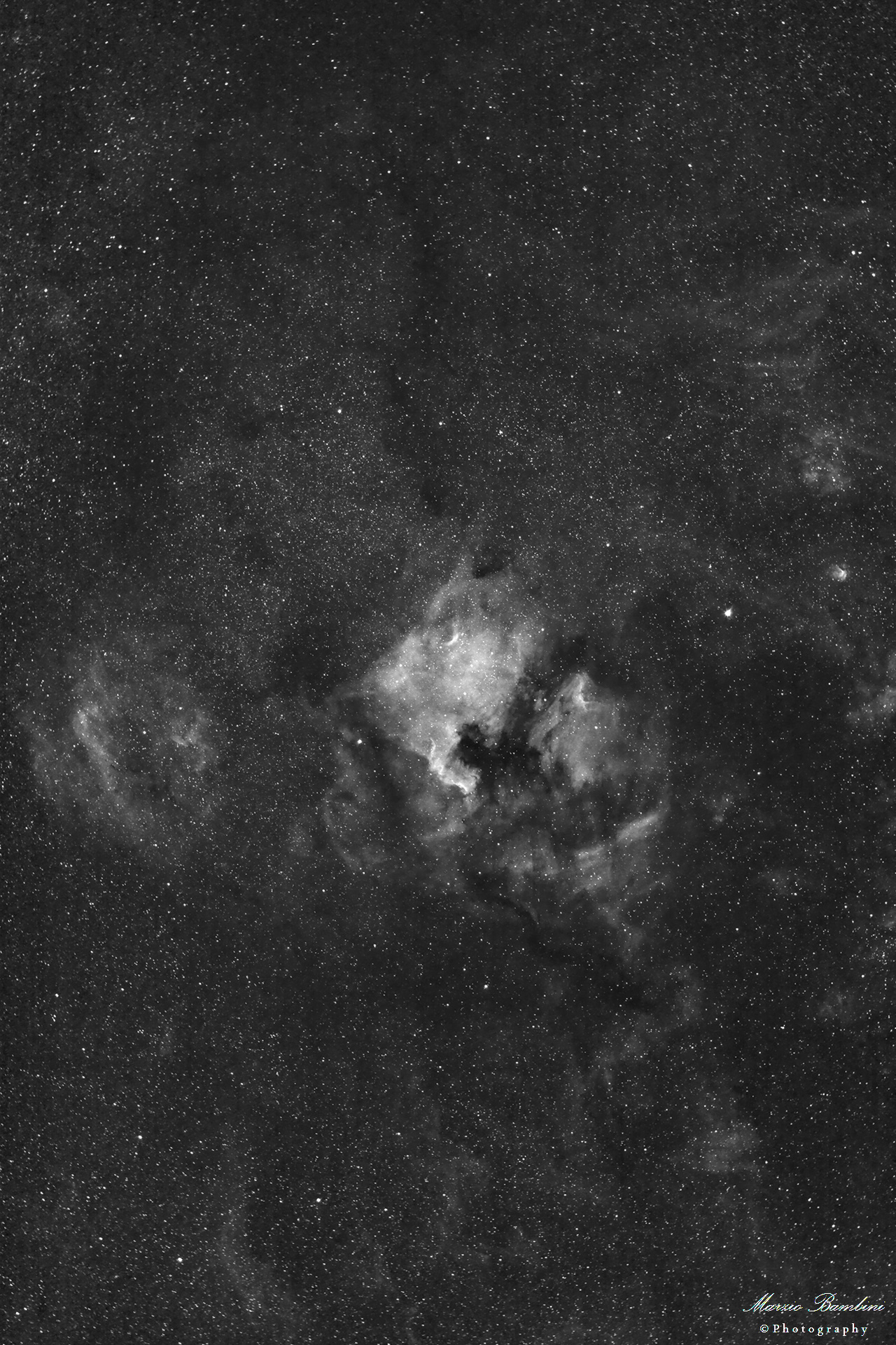 Cygnus region with North America and Pelican nebulae