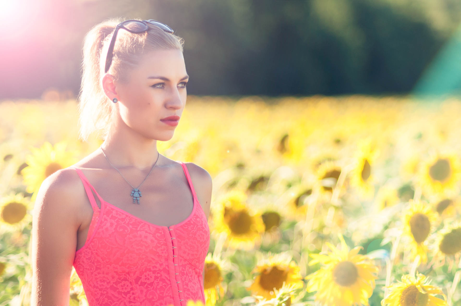 Under the Tuscan Sun