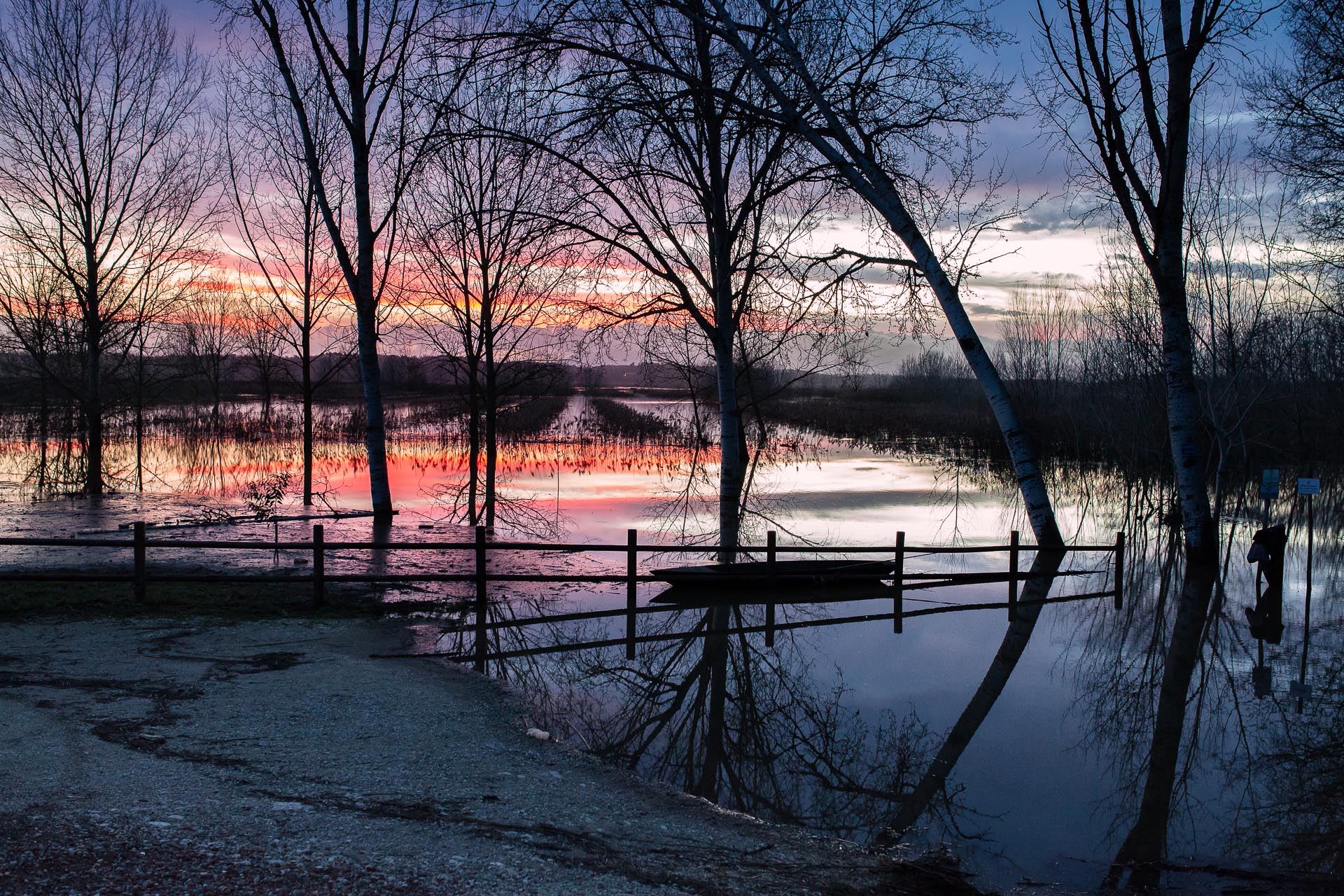 Padule di Fucecchio #3