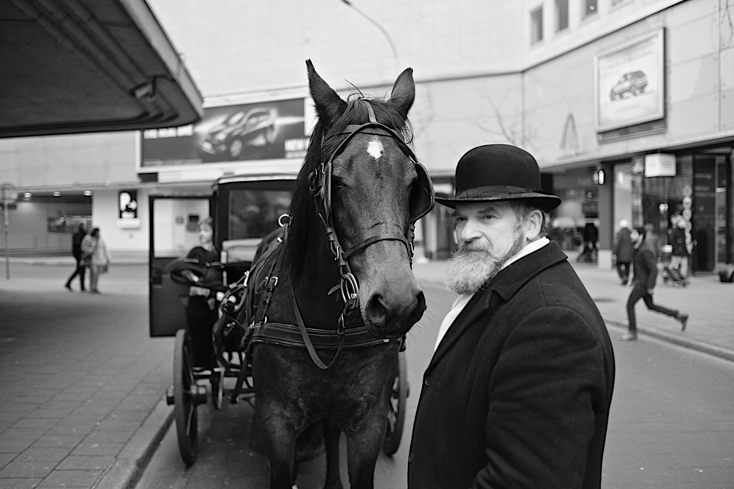 Il Cocchiere - The Coachman