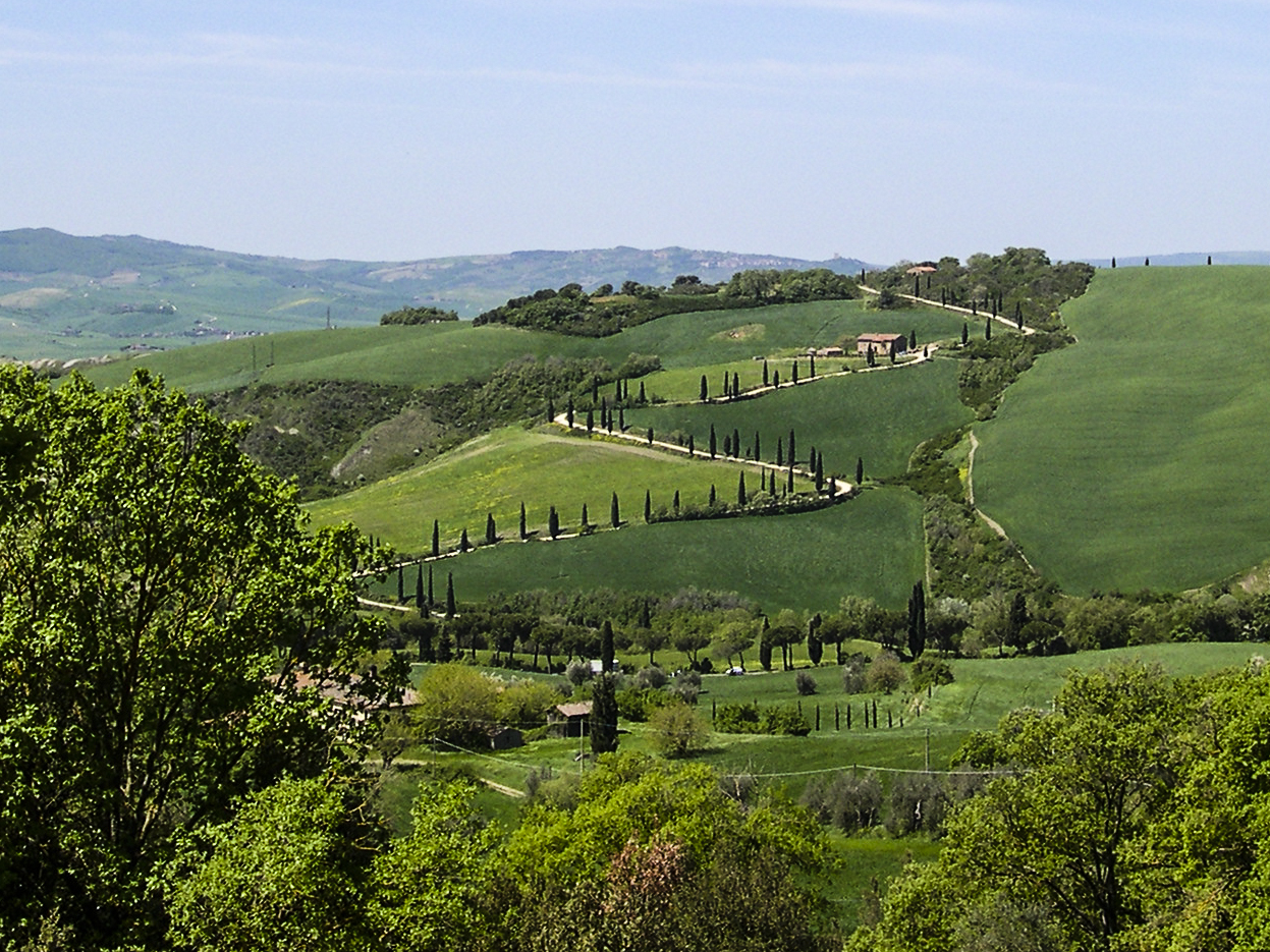 Colline toscane