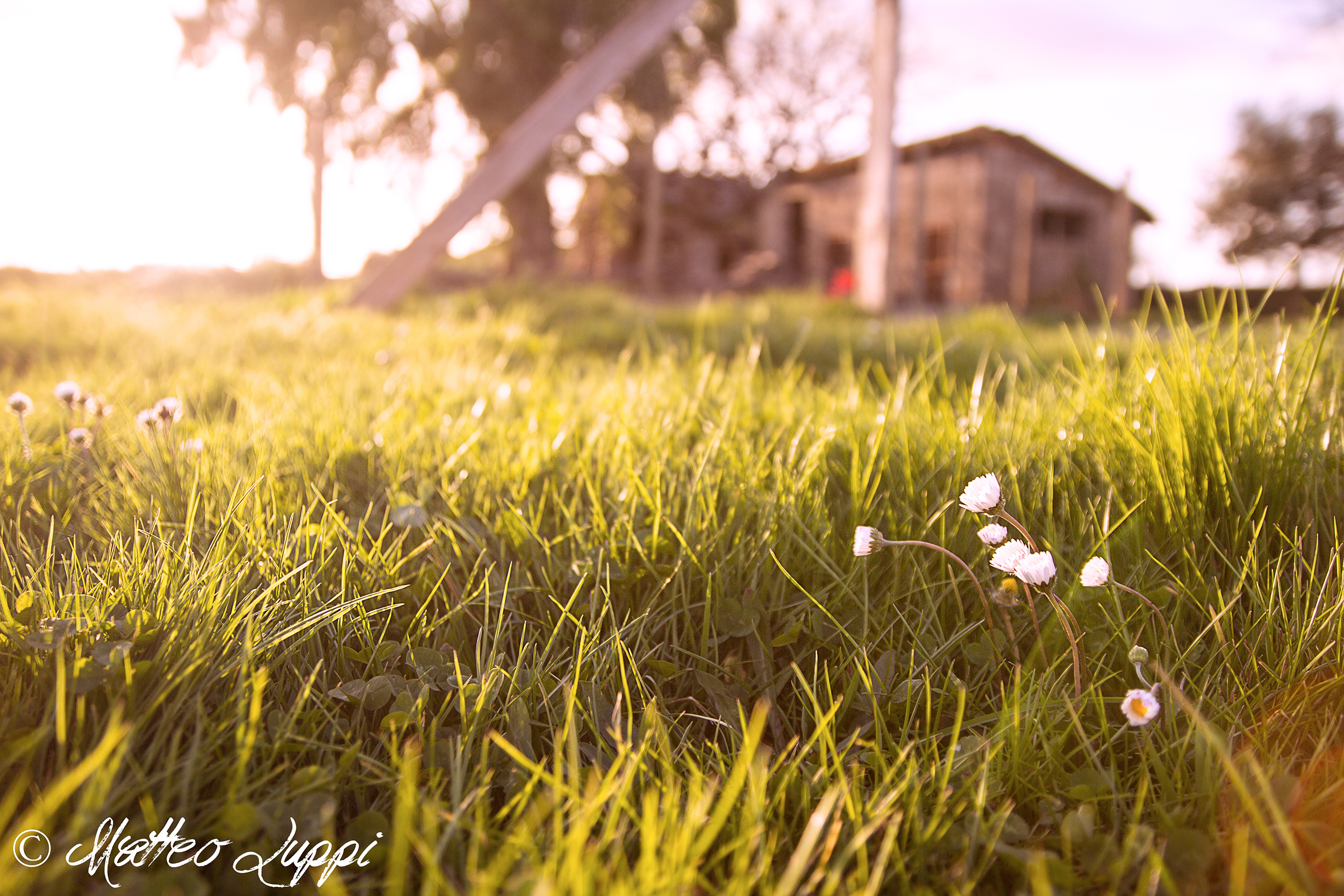 Un inverno che non c'è mai stato...