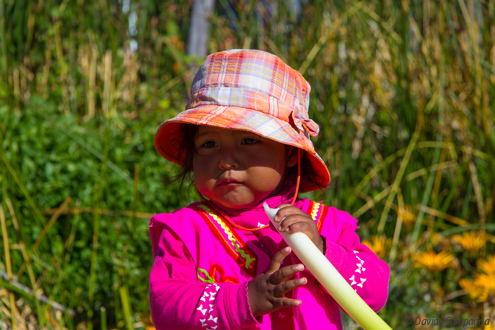 Che buona la tora....