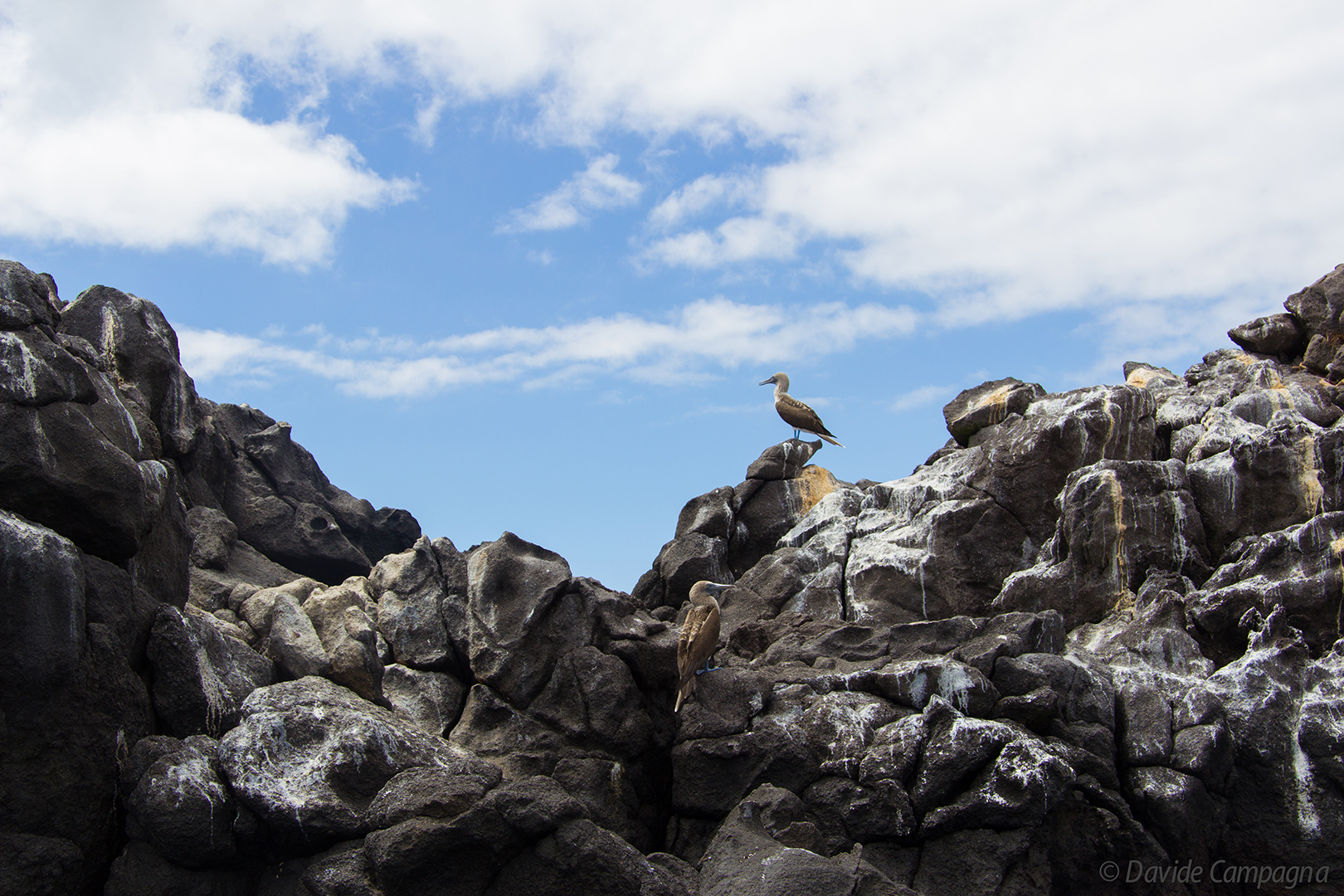 Scorcio fra le rocce