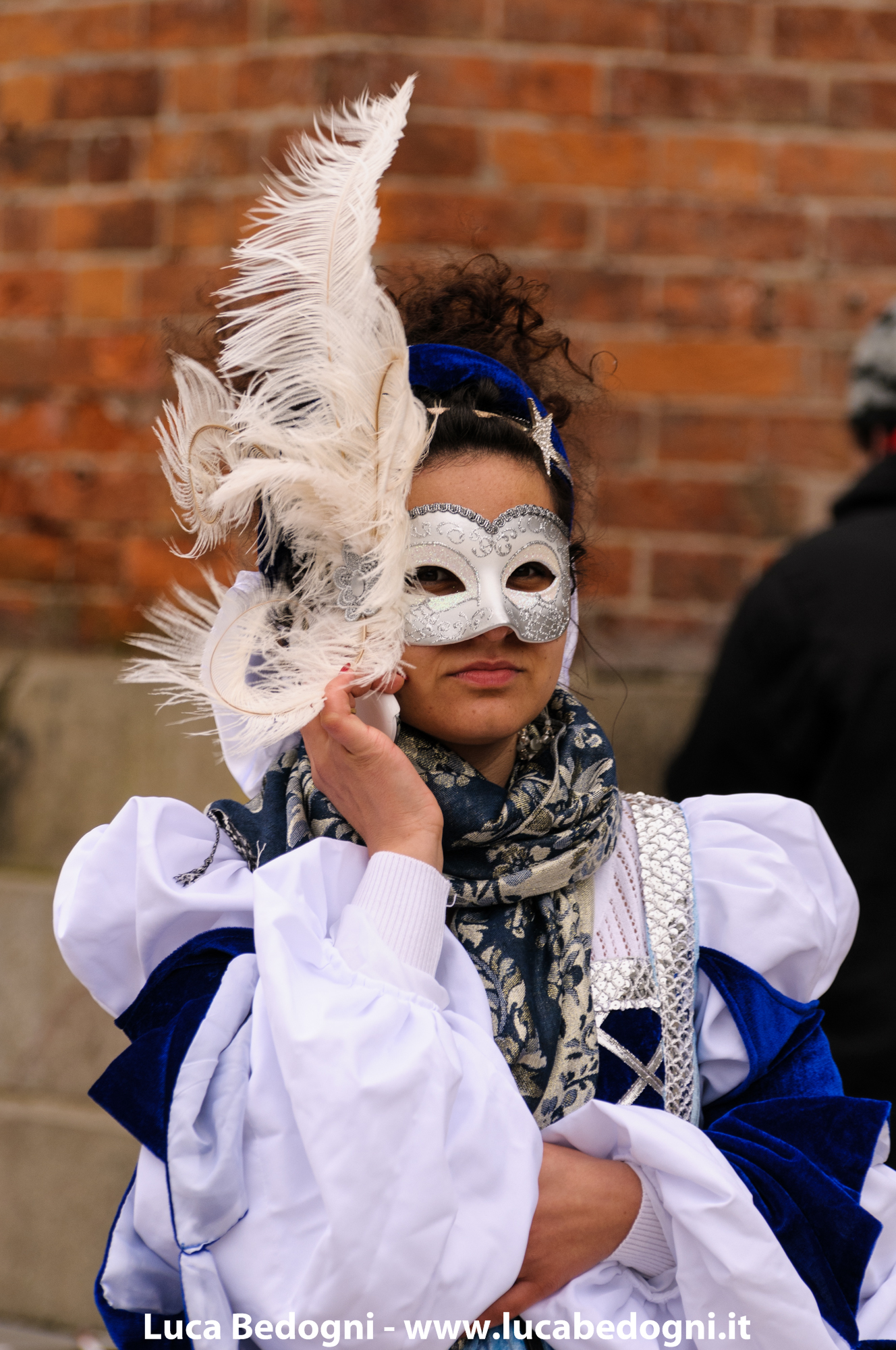 Venetian Mask