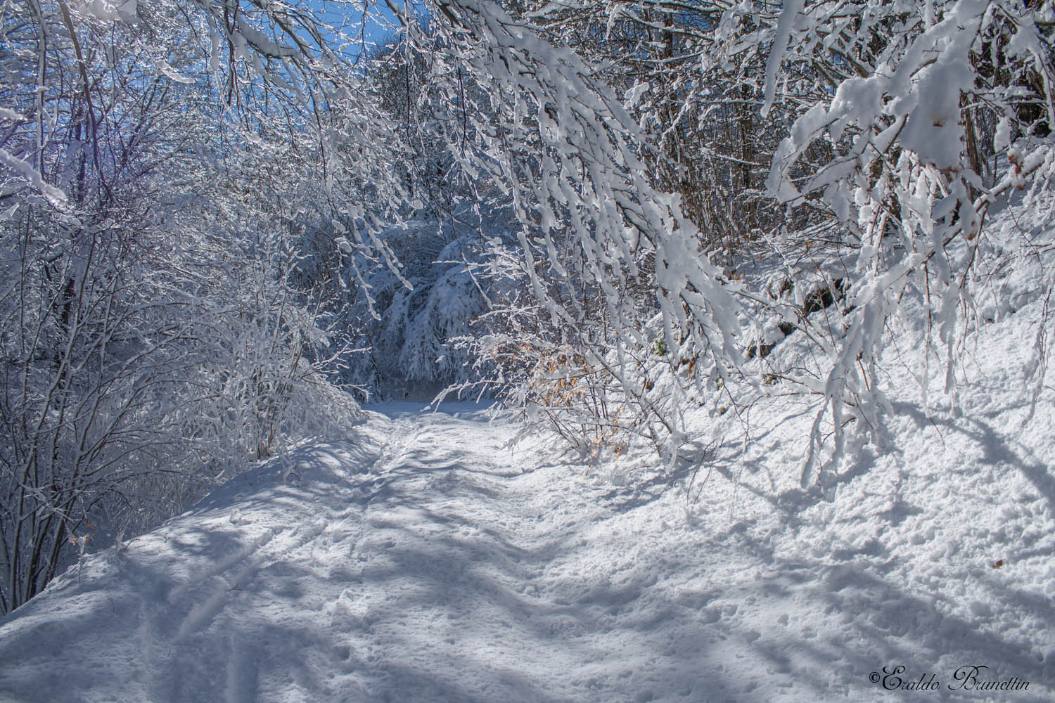 Trails of Mount Jouf