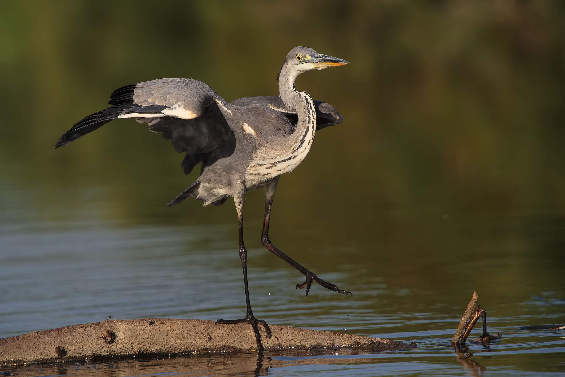 one step at a time ...