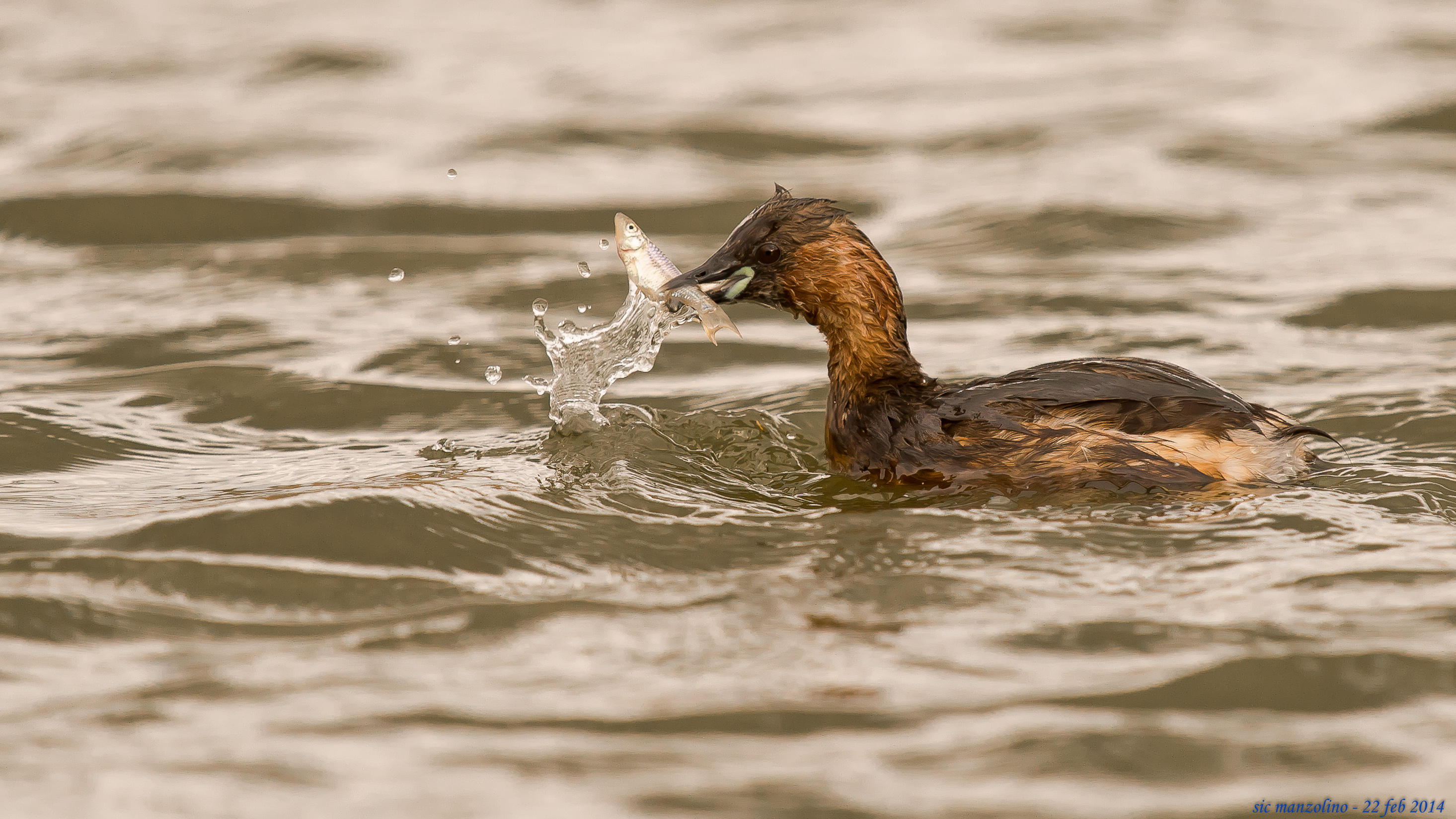 tuffetto a pesca!!!!!