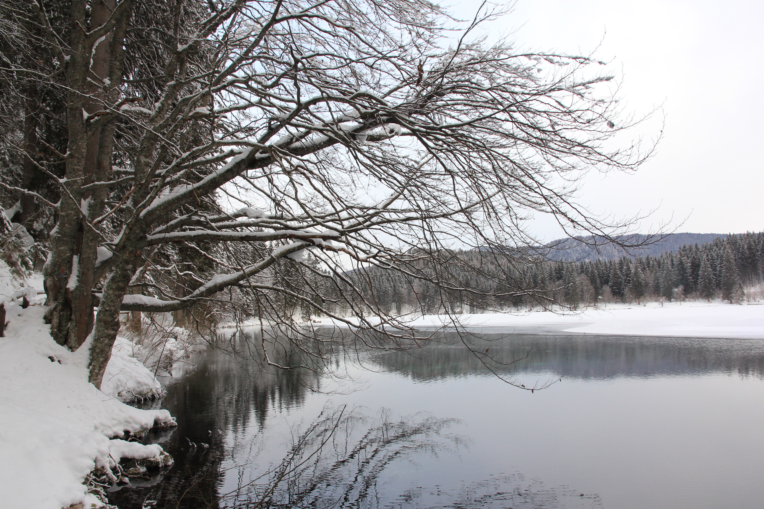 Lago inferiore di Fusine