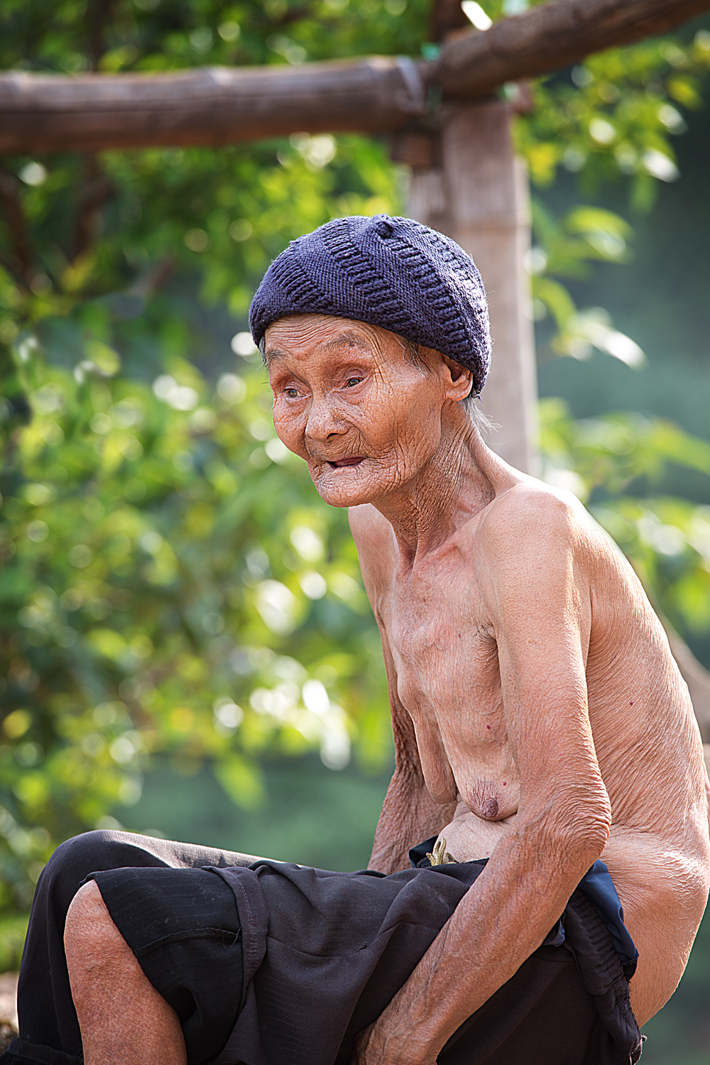 La vecchia delle nuove foglie di the