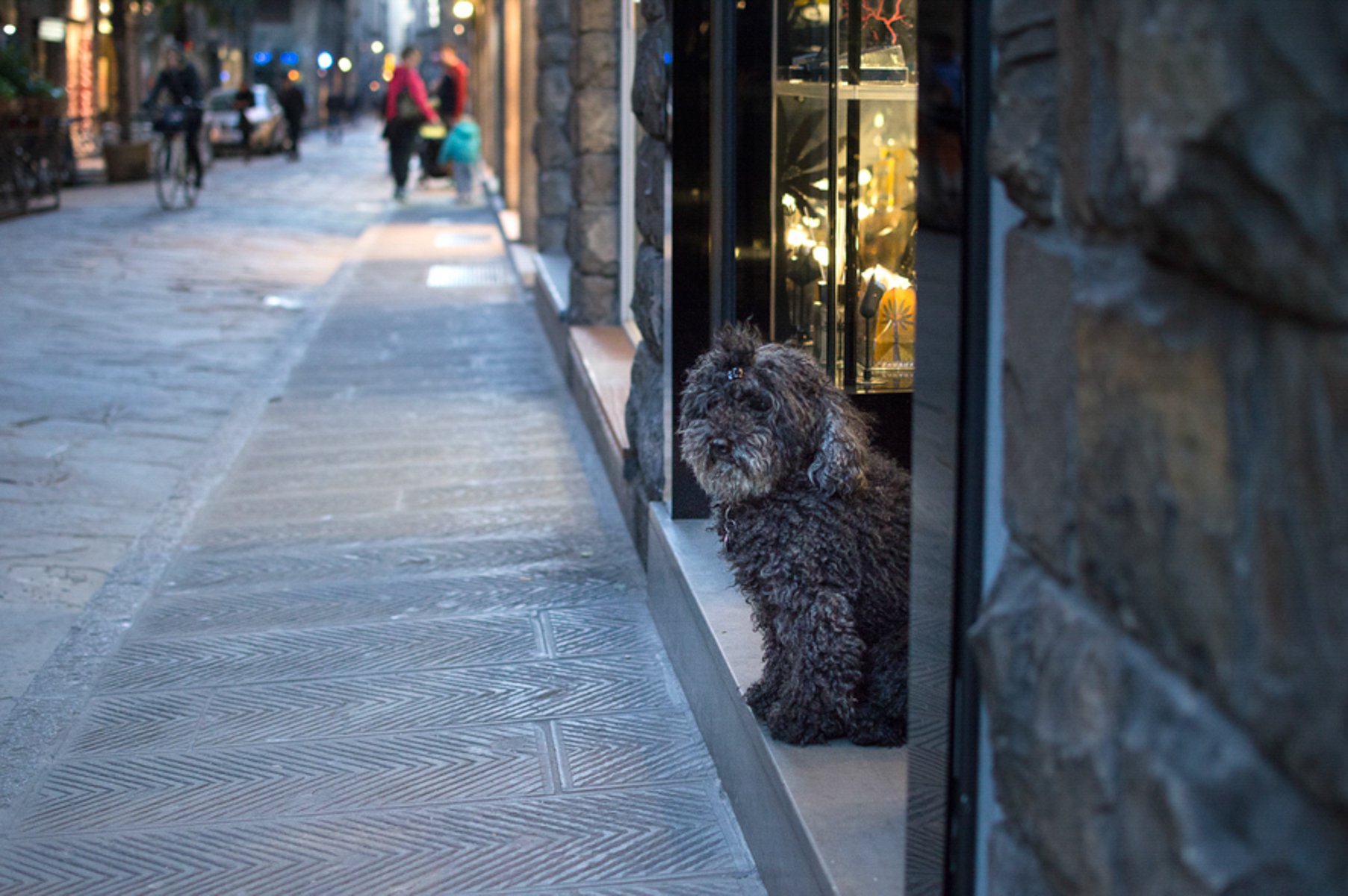 Uno sguardo oltre la vetrina