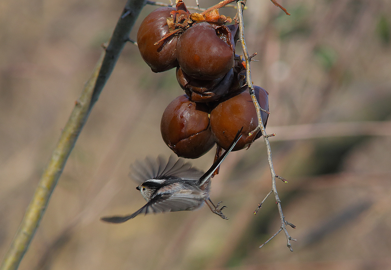 tuffo nel vuoto!!!!!