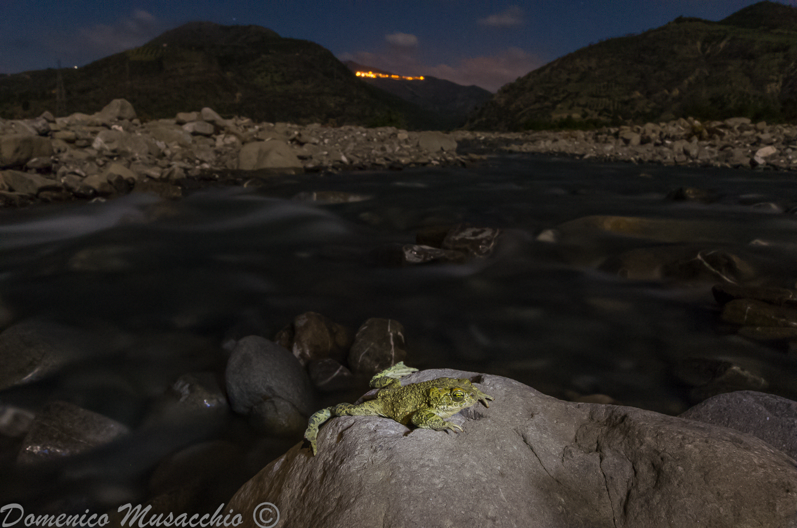 The prince waits for a kiss ...