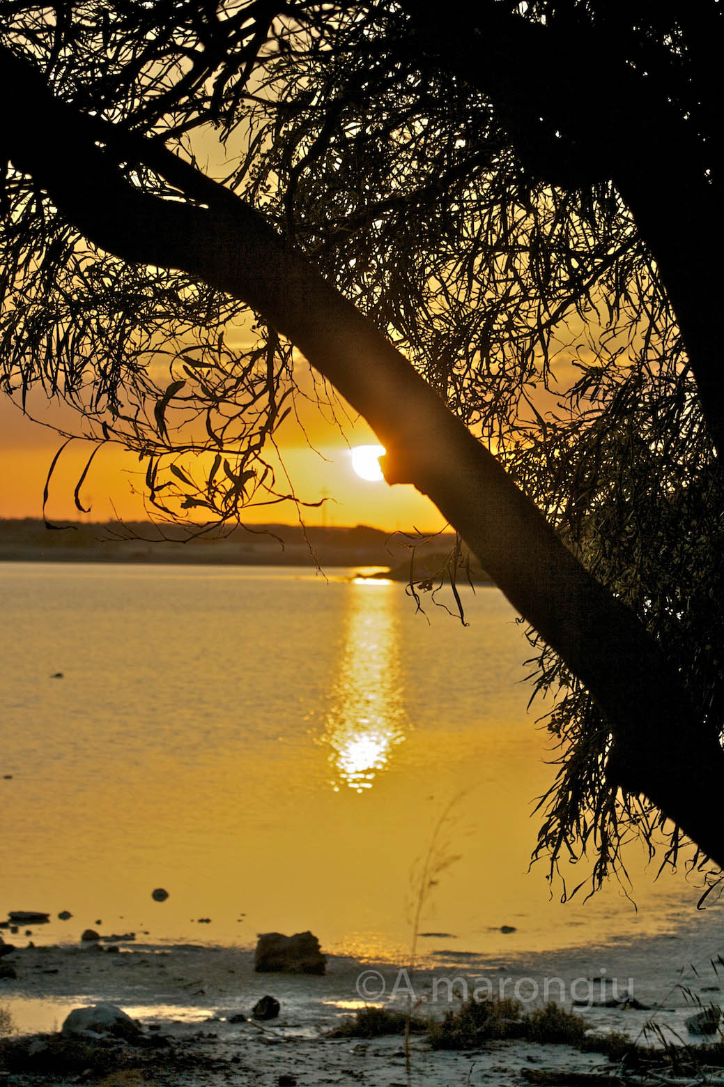 tramonto nelle saline