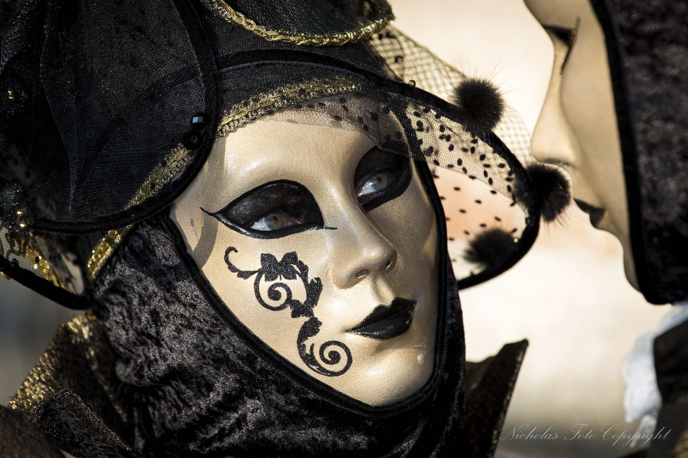 Venezia carnevale 2014