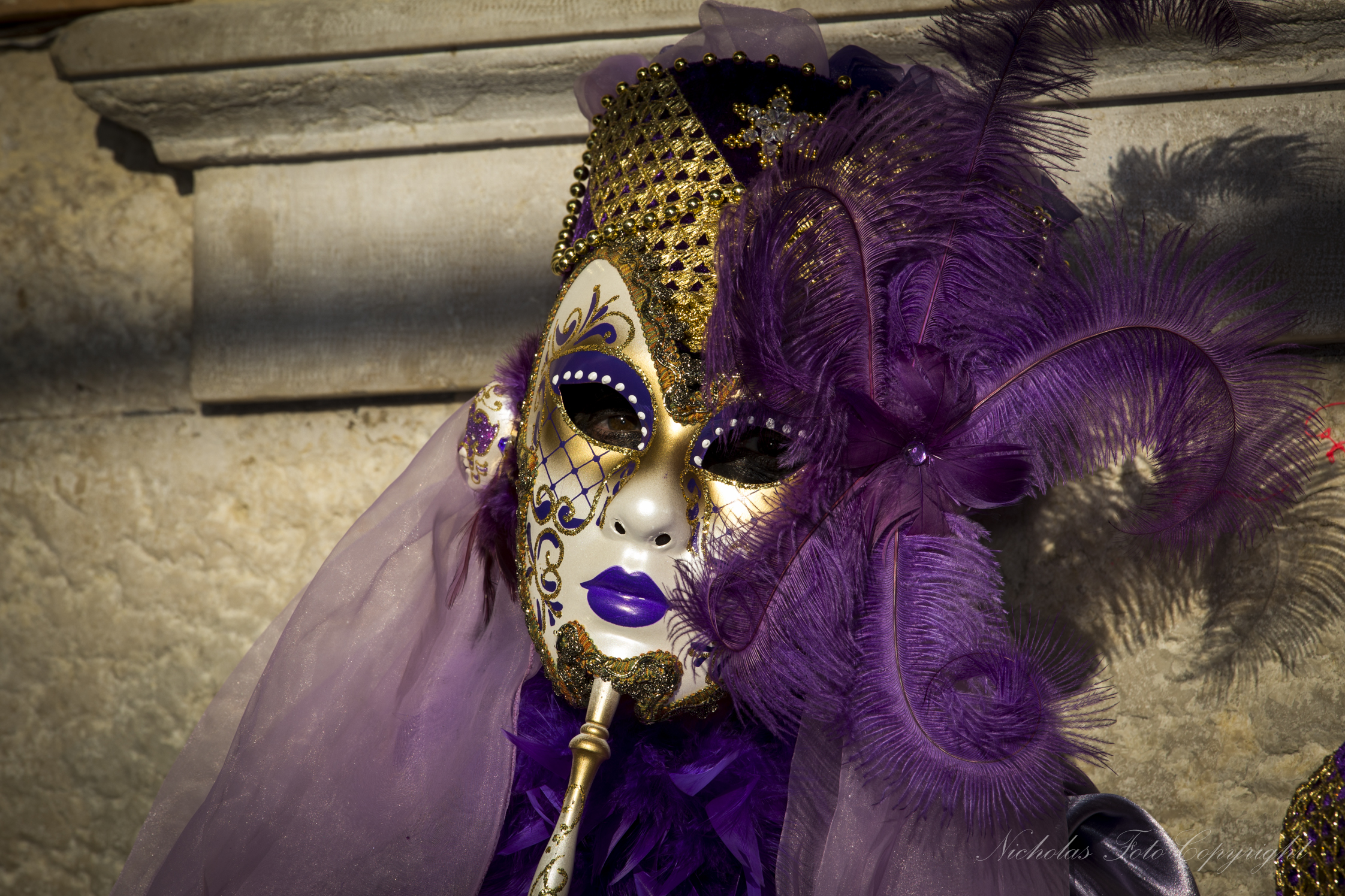 Venezia carnevale 2014