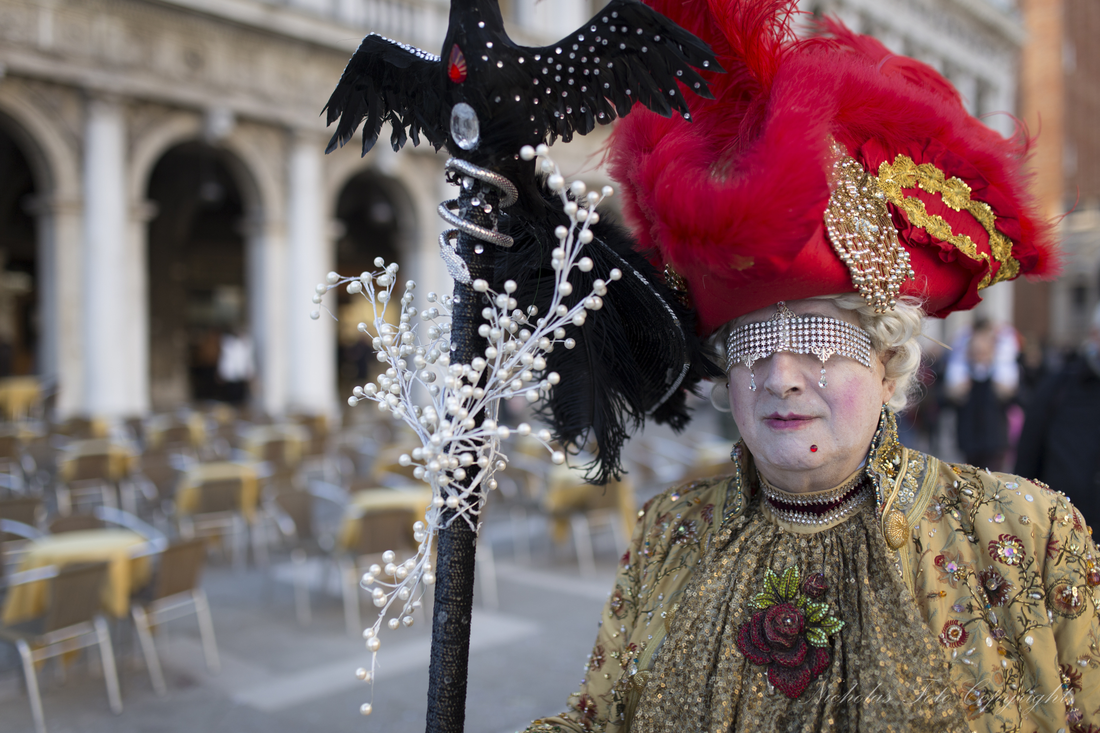 Venezia carnevale 2014