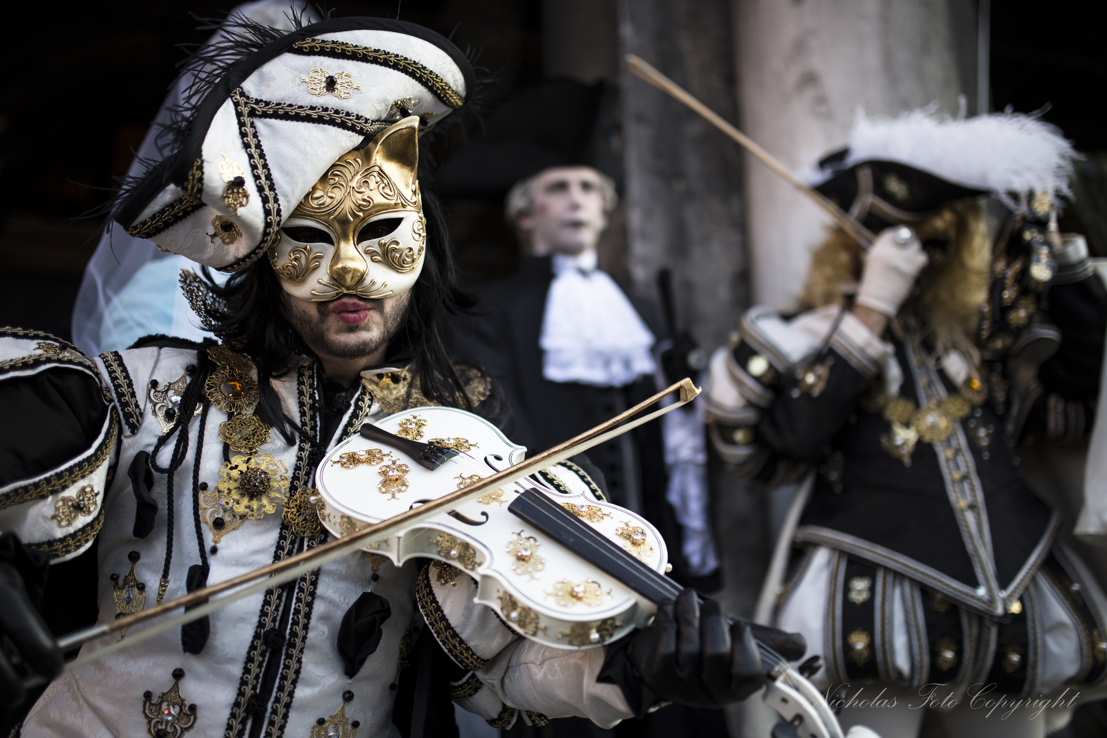 Venezia carnevale 2014