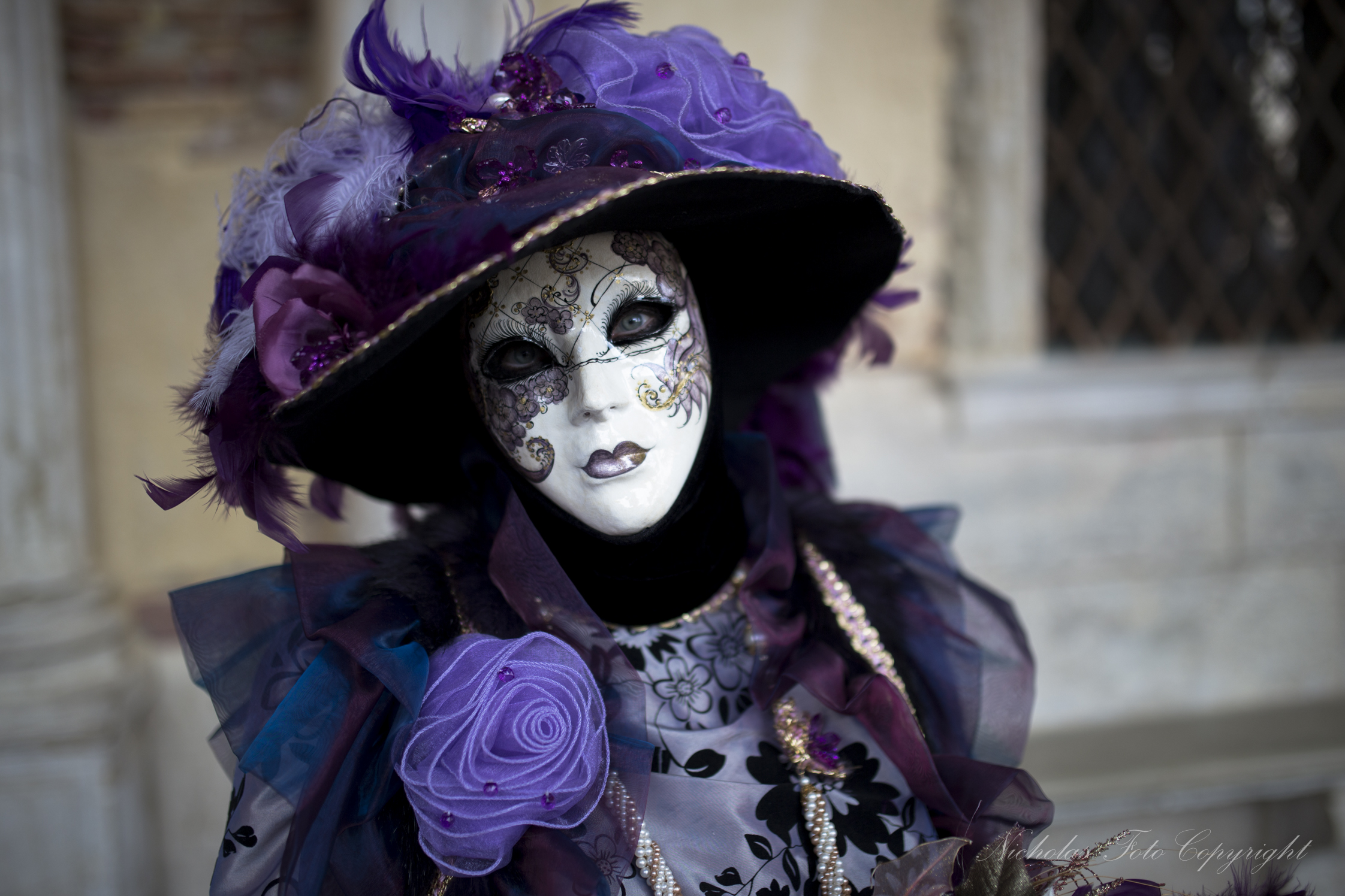 Venezia carnevale 2014