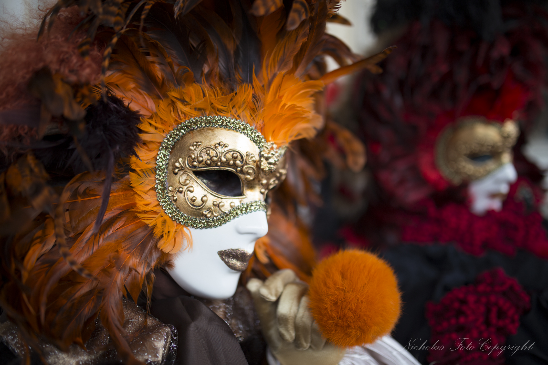 Venezia carnevale 2014
