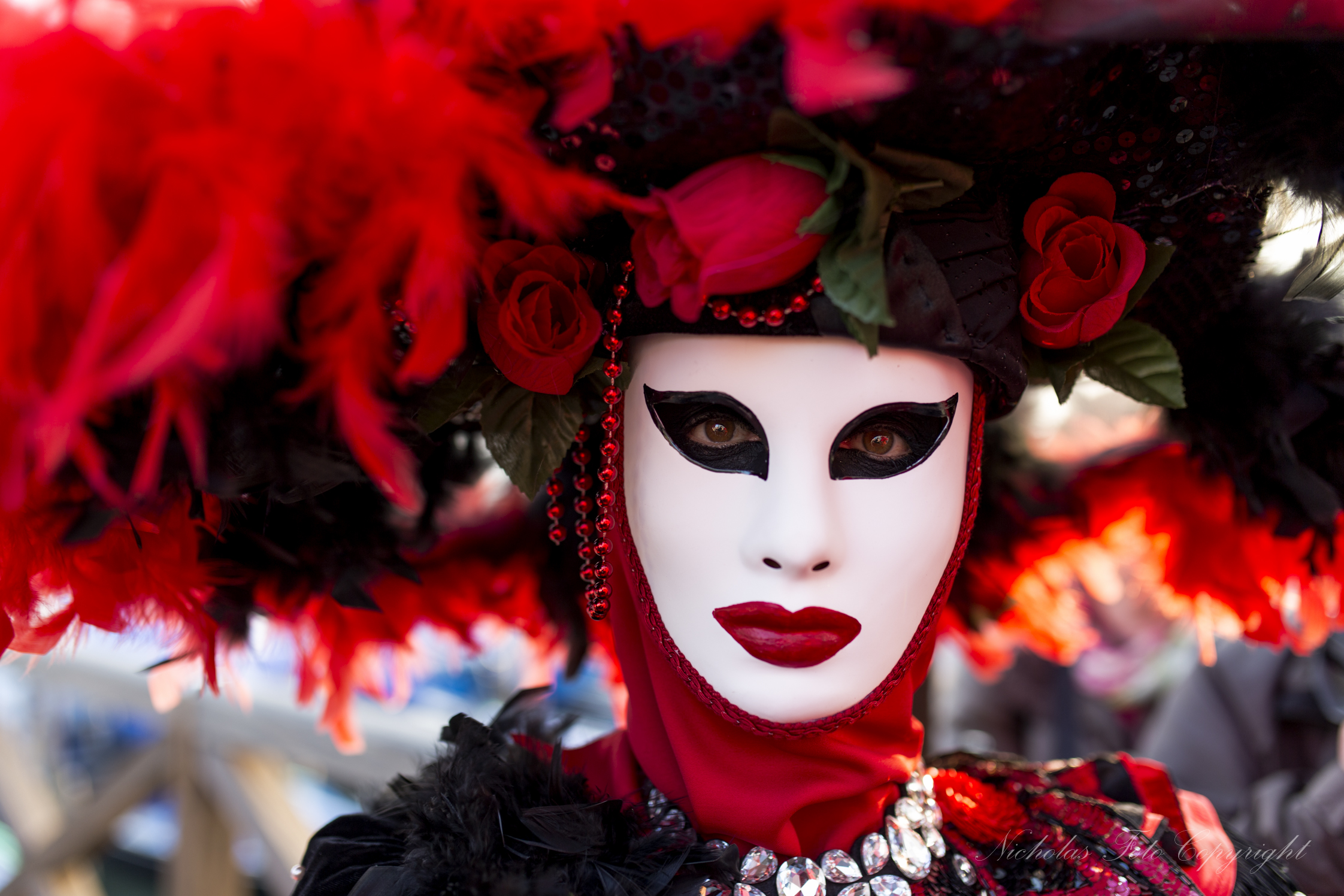 Venezia carnevale 2014