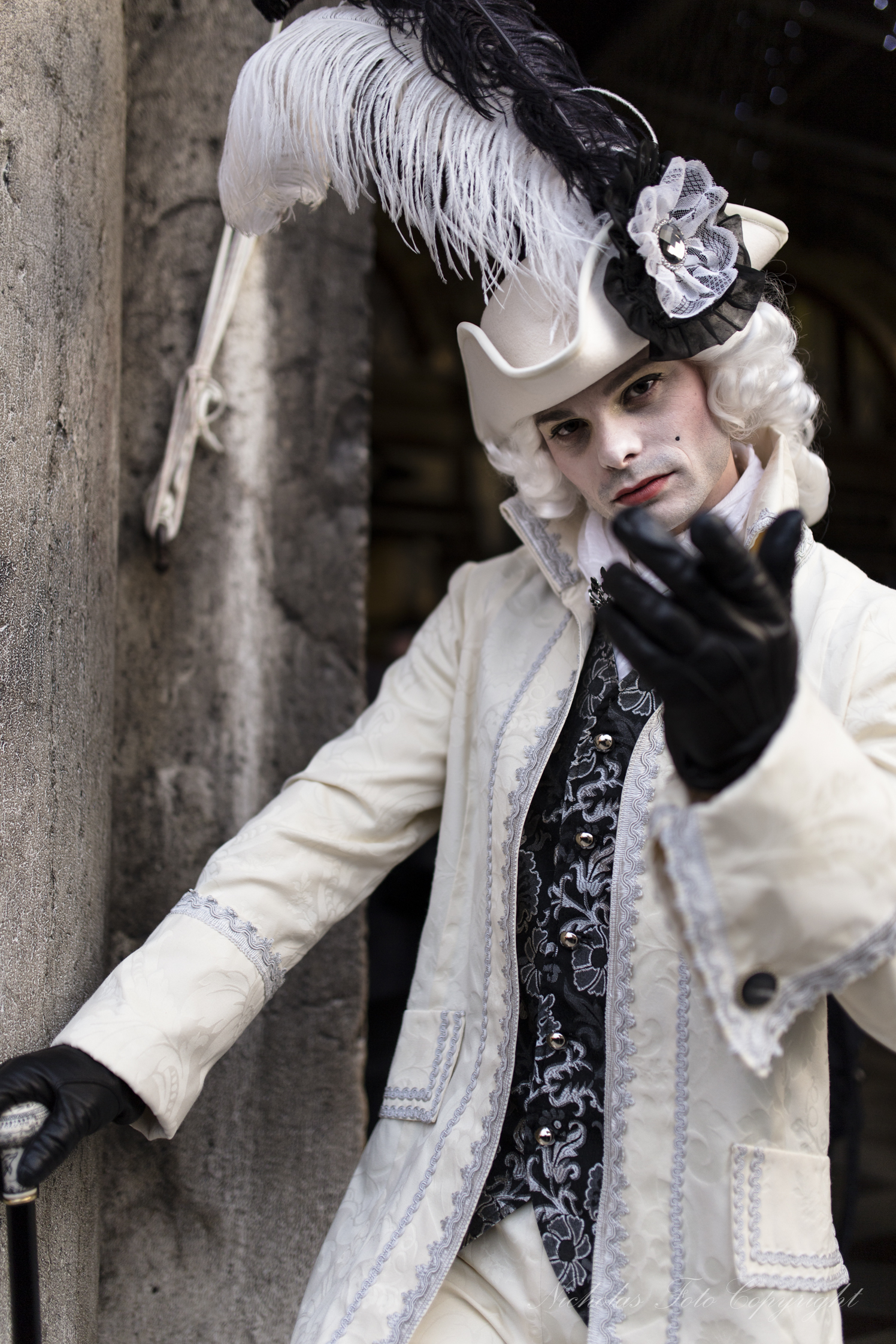 Venezia carnevale 2014