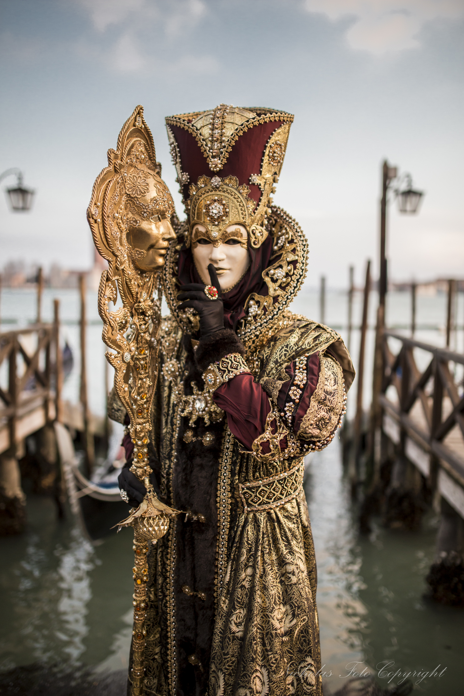 Venezia carnevale 2014