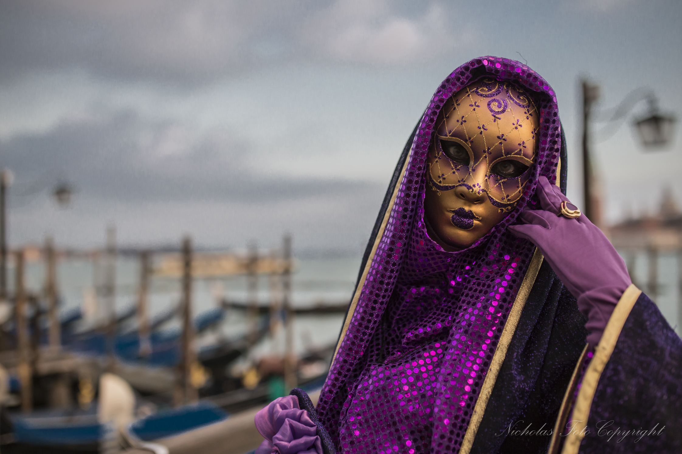 Venezia carnevale 2014