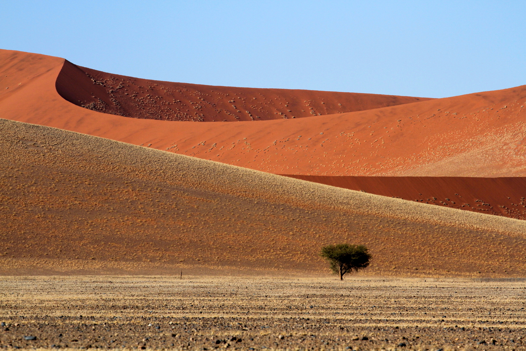 Dunes Soussusvlei
