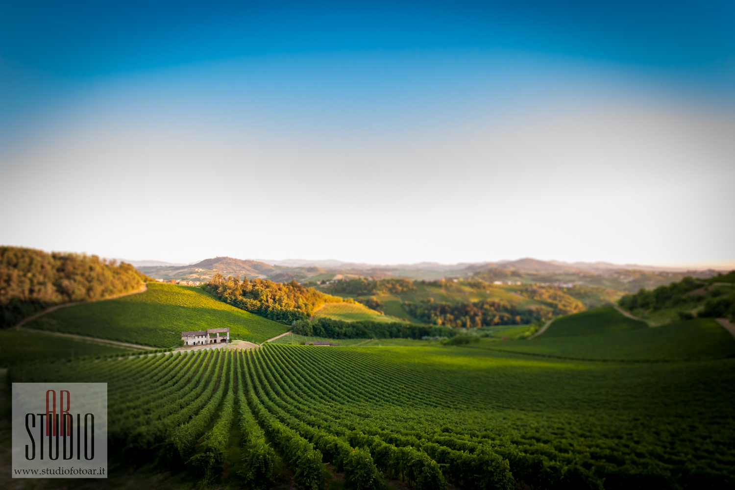 la vigna di fibonacci