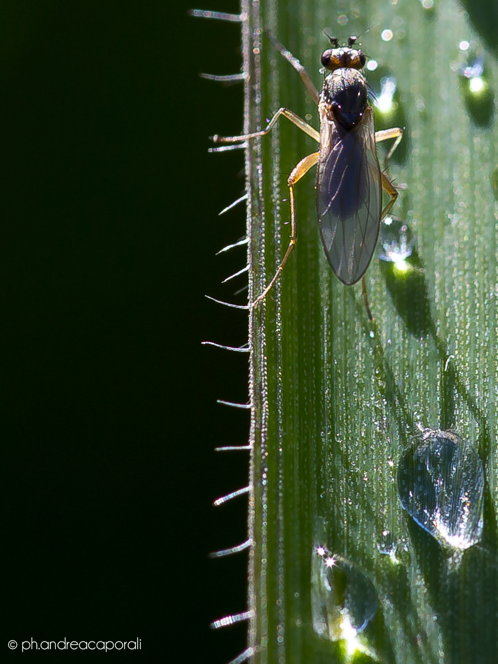 Climbing - Part Two.