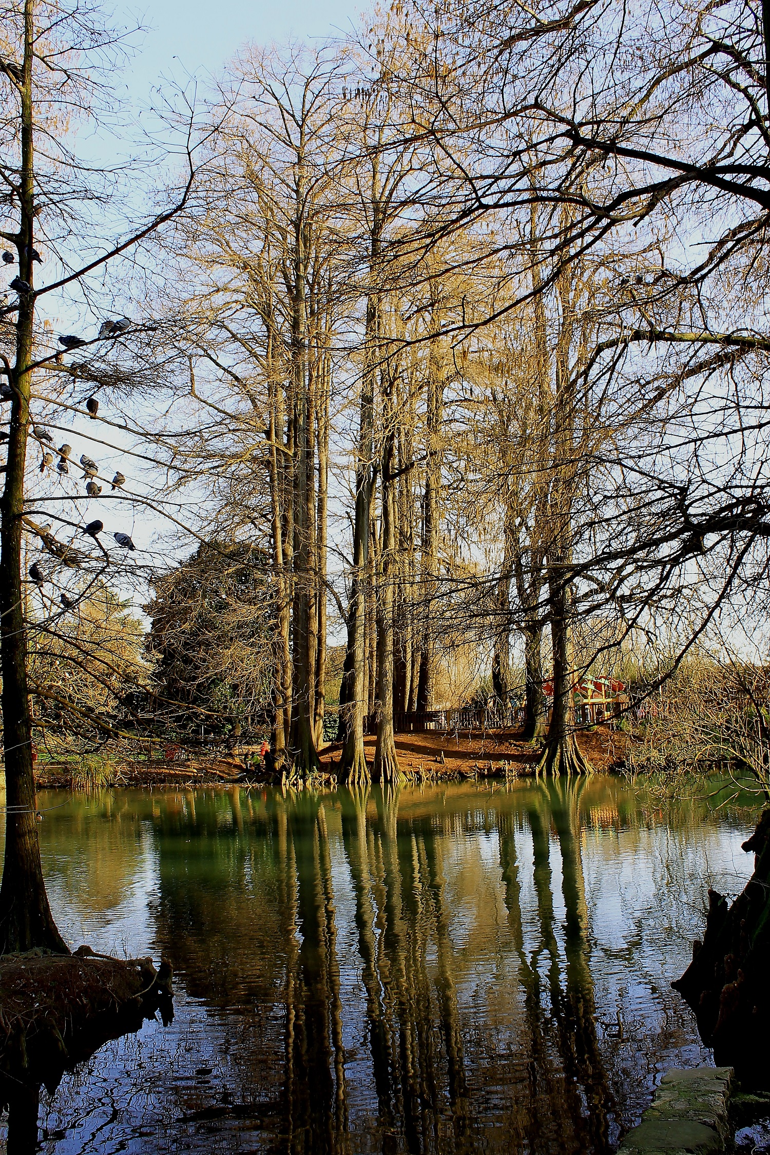 Walking around the park-Bs