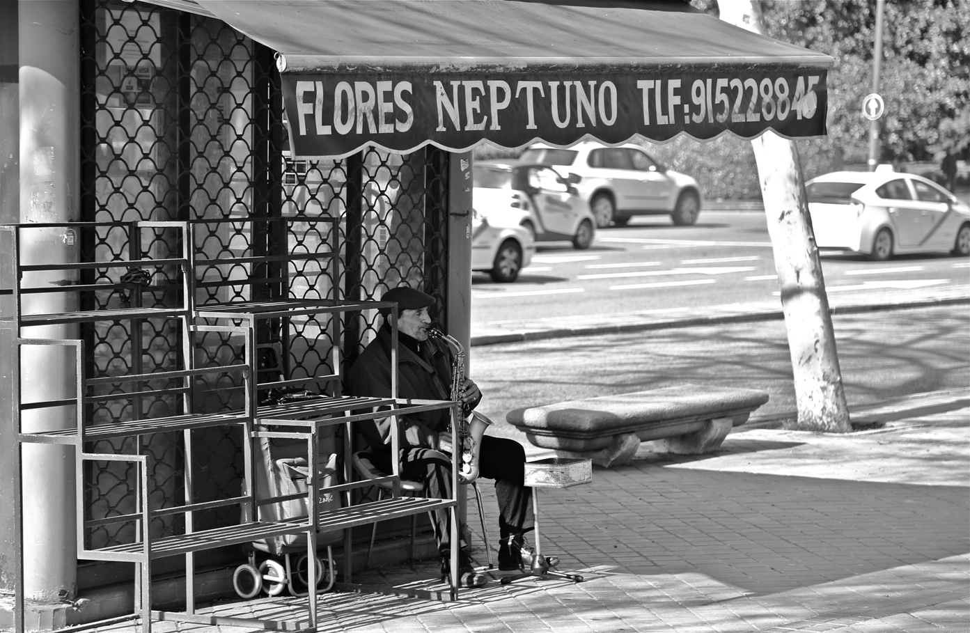 Da Flores Neptuno non ci sono più fiori